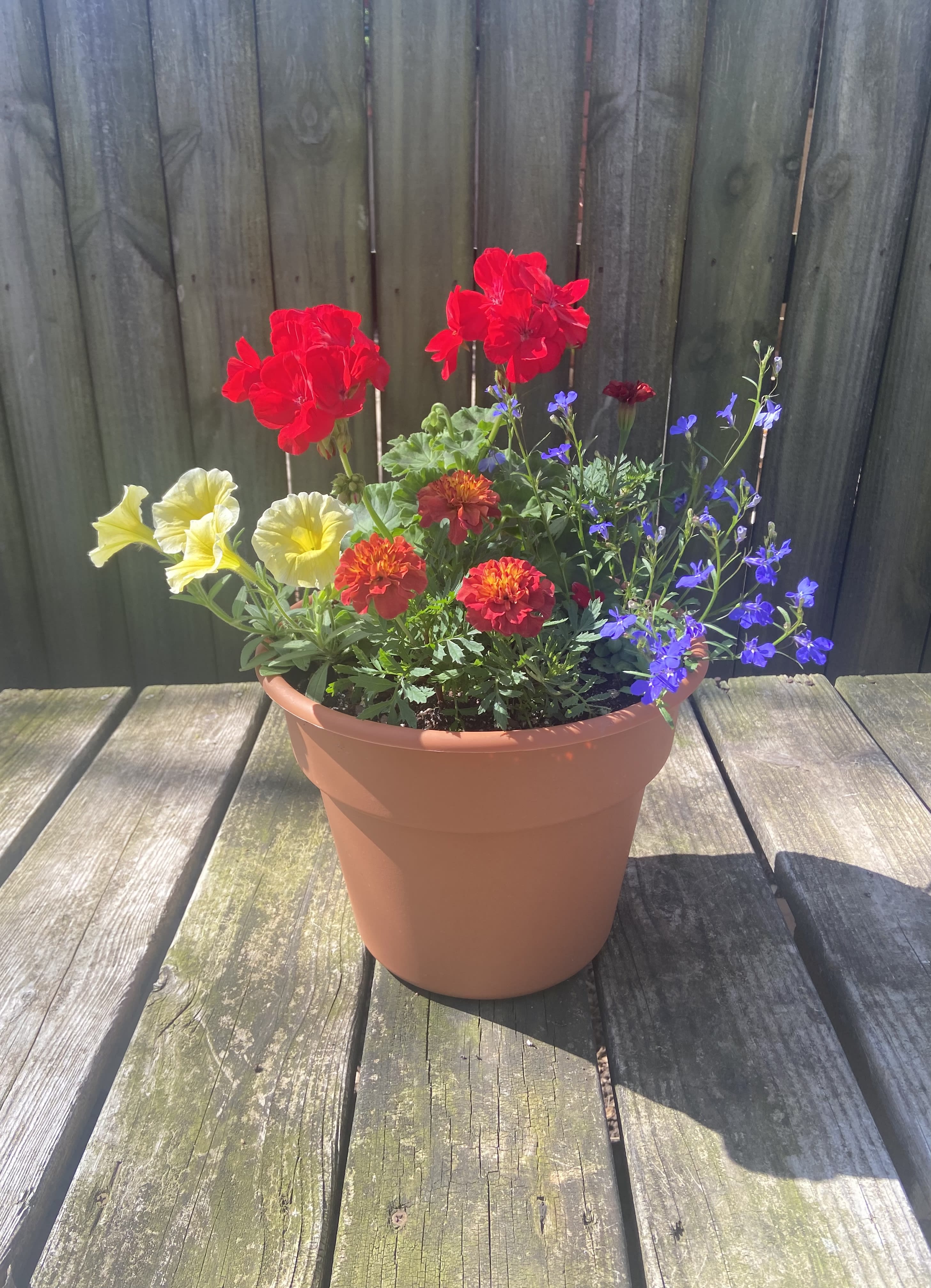 Potted mixed flowers with red, yellow, and blue blooms