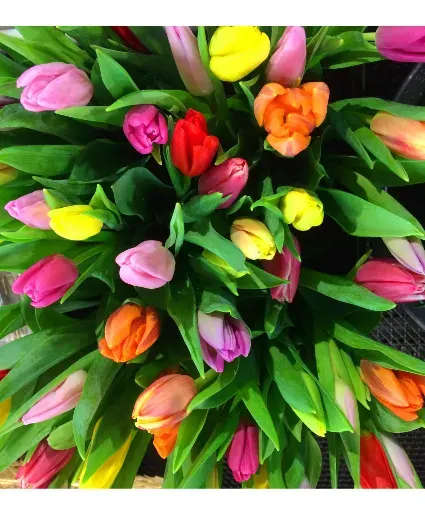 Hand-tied Tulip Bouquet - STANDARD - 10 stems wrapped. DELUXE - medium size bouquet with fillers and greens in a wrap PREMIUM - large size bouquet with fillers and greens in a wrap. Please specify color preference: white, pink, orange, red, purple, mixed colors.  Includes: Fresh Tulips.