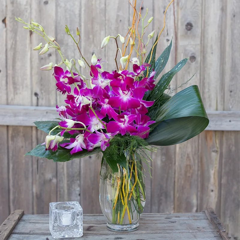 Purple orchid arrangement in a clear glass vase with broad leaves