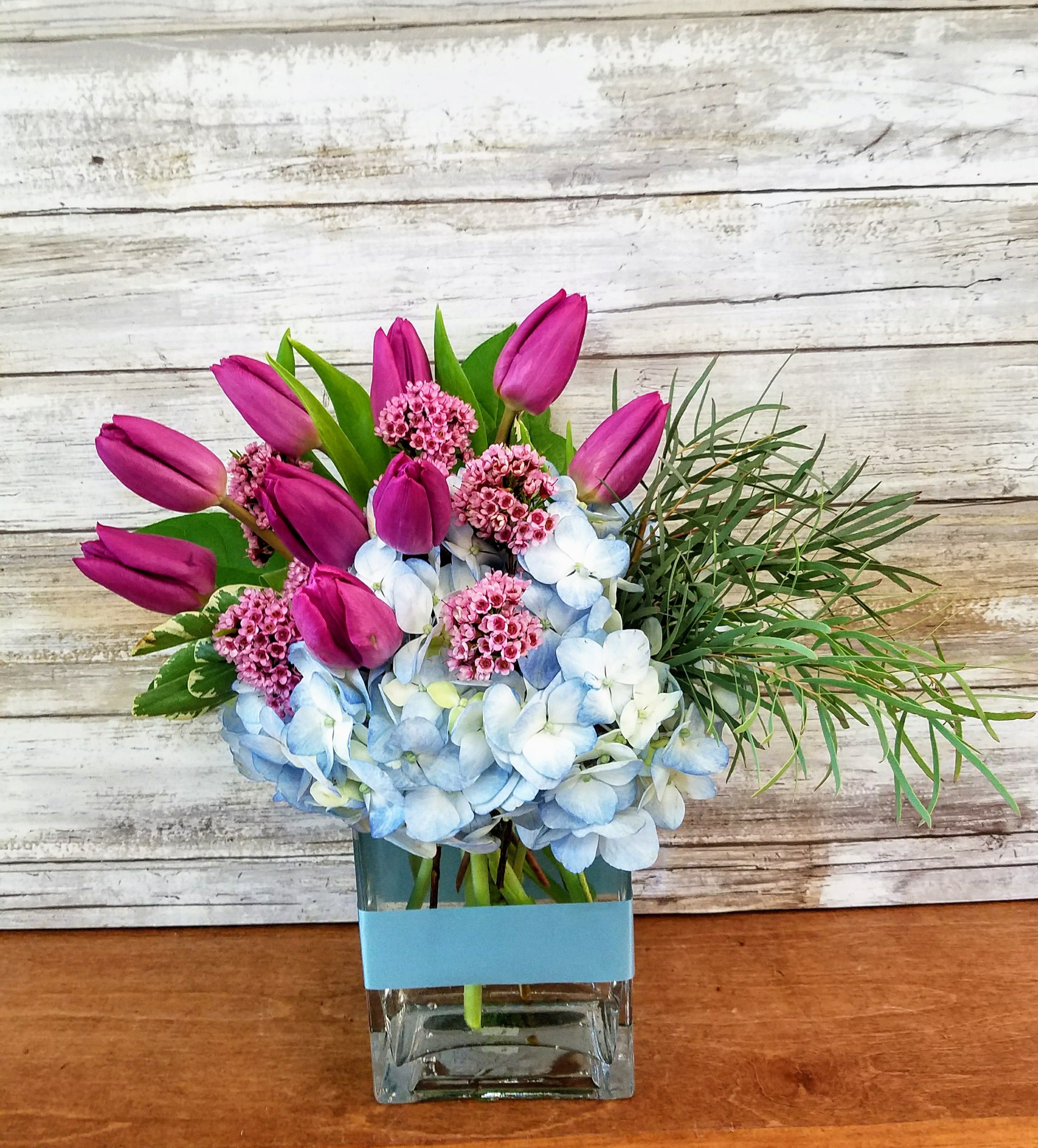 Tulips and Hydrangea - Pops of tulips paired with pale blue hydrangea are such a sweet combination. Accented with waxflower and eucalyptus in clear glass. Tulip color will vary based on availability.   Approximately 12" Tall 