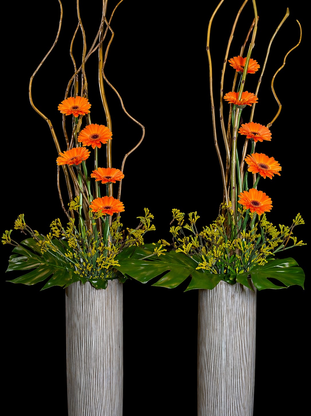 Side by Side to the Sun - Bright orange gerbera daisies reach upward in a bold, modern display-an airy, vertical flower arrangement perfect for a birthday bouquet or a general celebration. The tall, sculptural compositions and energetic orange blooms say "cheerful and uplifting" to the person you're thinking of, making it an excellent choice when you want to brighten someone's day or mark a happy milestone.  Several orange gerbera daisies are set at varying heights among tall, slender decorative branches, rising from stylish ceramic vases. Broad green leaves are gathered at the base to balance the height and add lush contrast, while the yellow and green palette beneath the vibrant blooms keeps the look fresh and contemporary. The pieces read as modern and architectural-ideal for office desks, entry tables, or as a standout centerpiece.  Send this twin arrangement when you want someone to feel noticed and celebrated; it's the kind of gift that brings immediate warmth and energy to a room. The vases are included and ready to display-keep blooms in fresh water, trim stems every few days, and remove any wilting foliage to extend enjoyment.