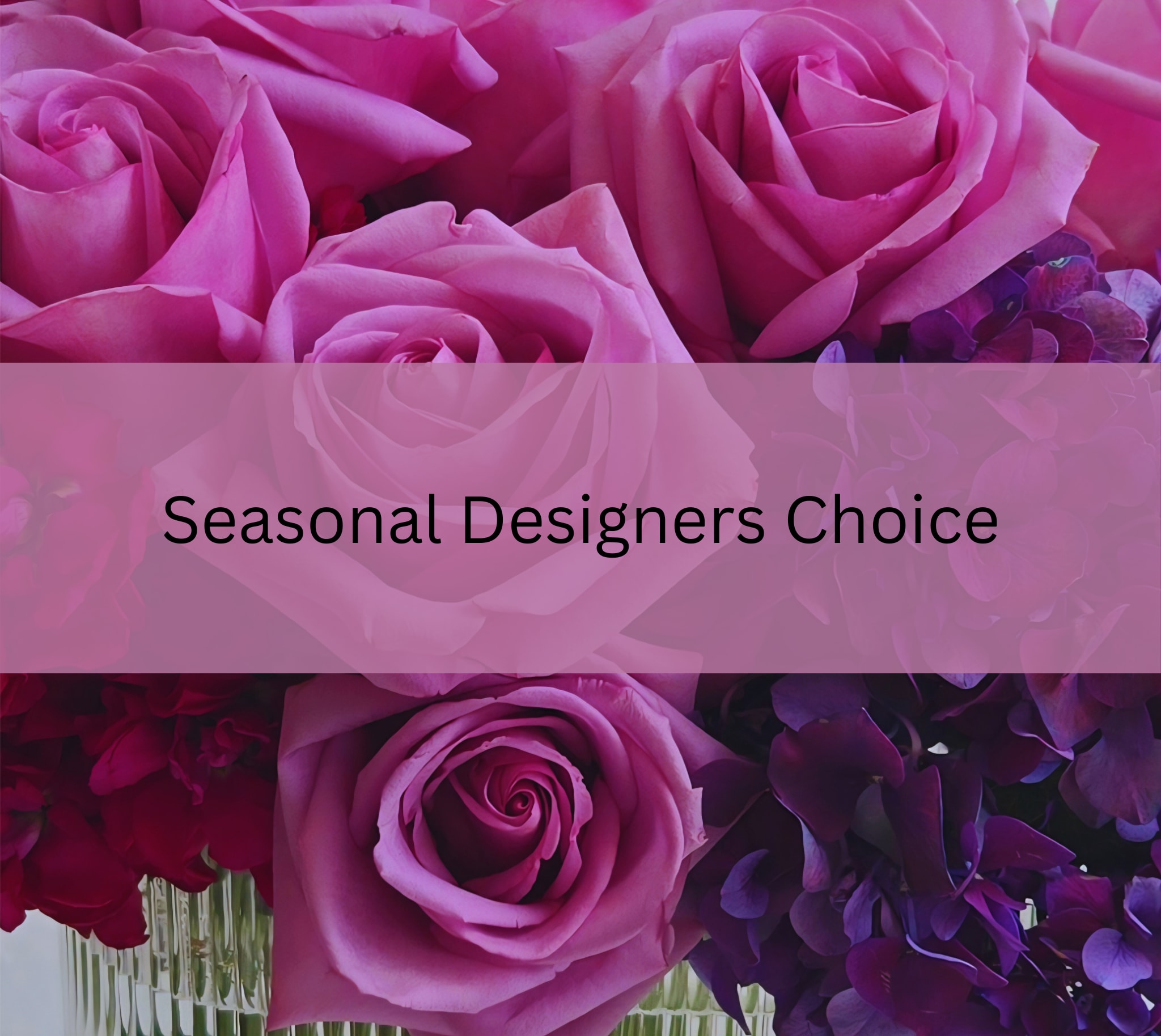 Designers Seasonal Choice - Let one of our designers pick from the very best in our cooler!