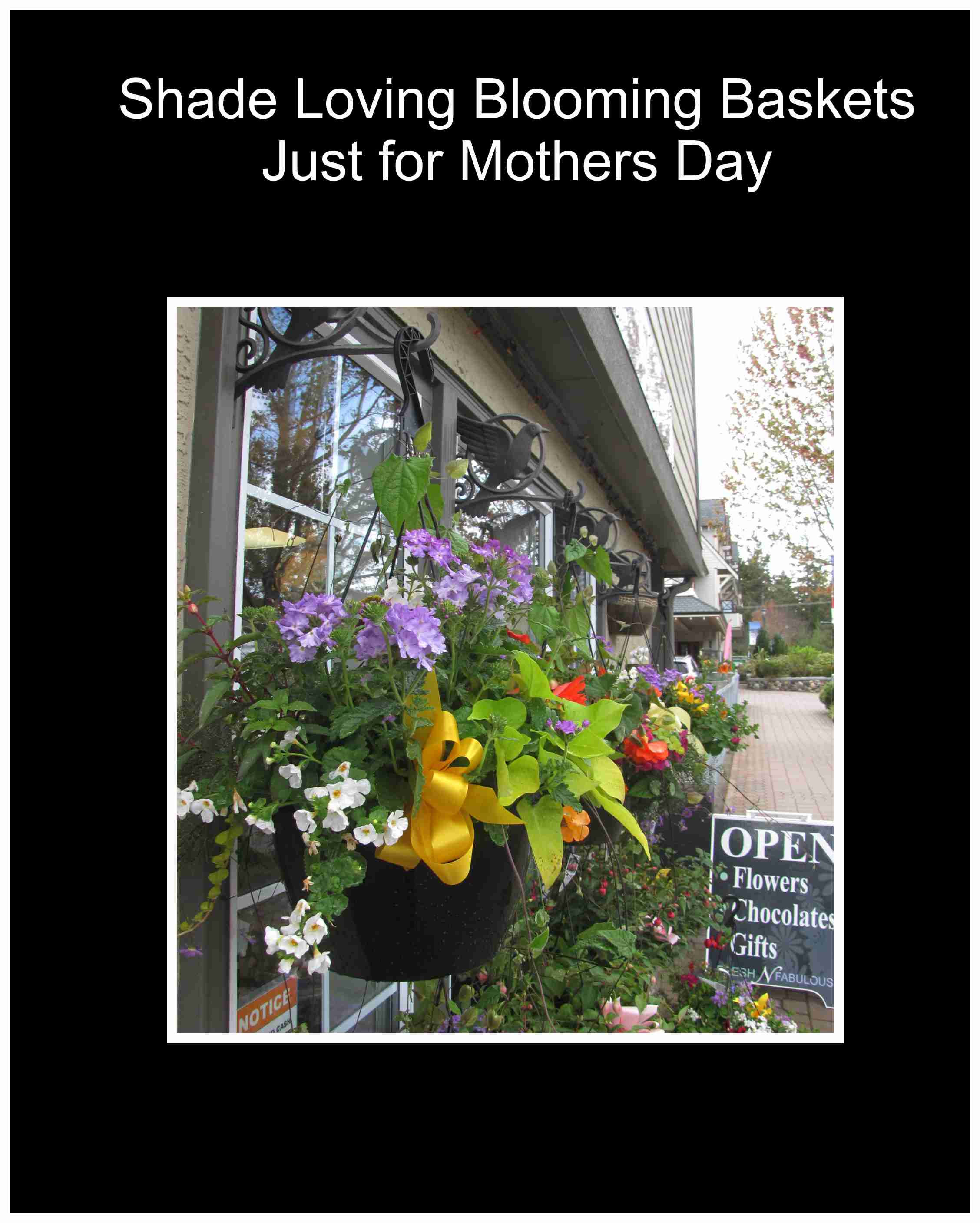 Hanging basket of purple and white flowers with a yellow ribbon