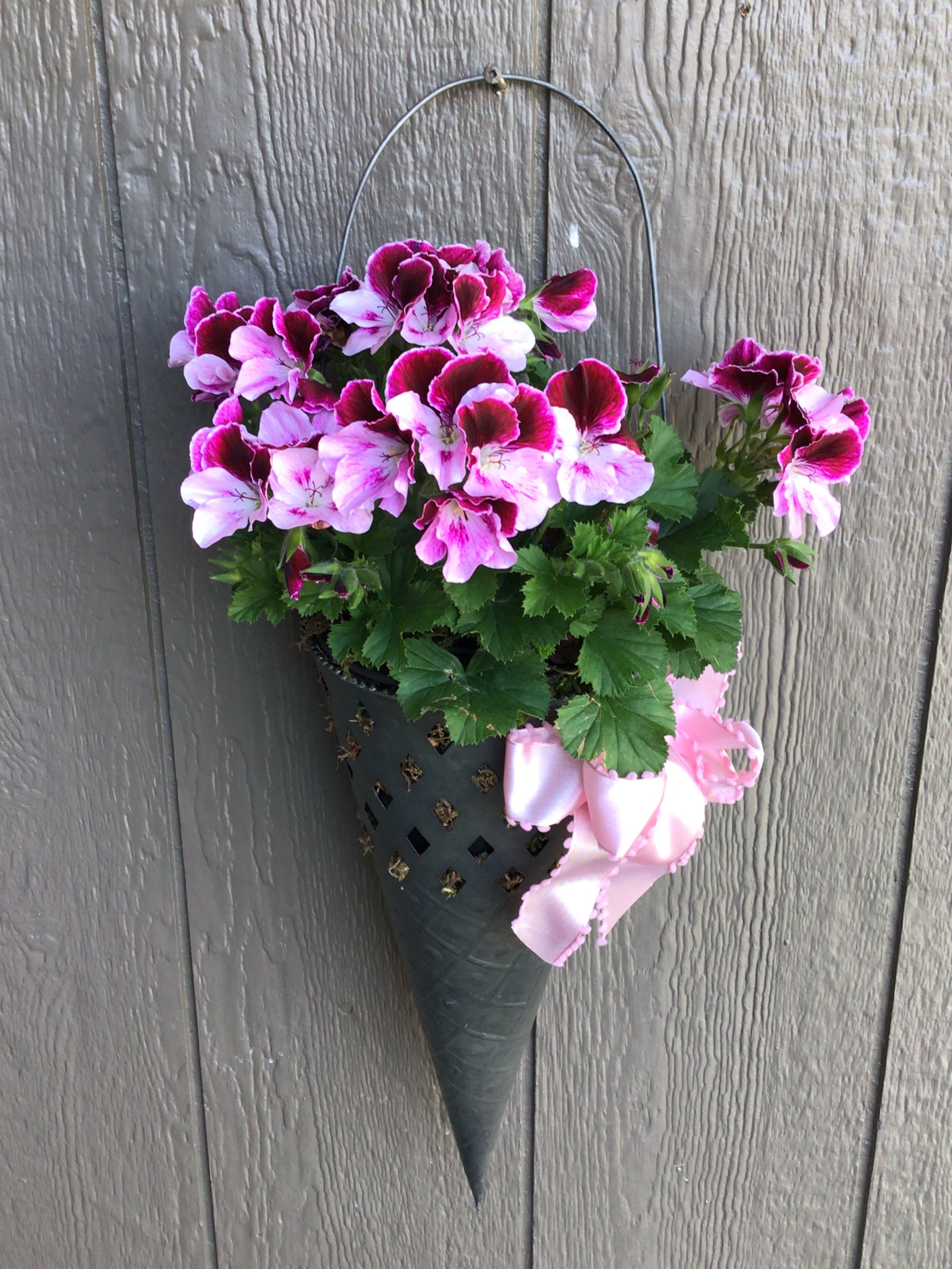 Garden plant hangers - A garden ornament containing a seasonal  outdoor plant that can be hung on a fence, door or anywhere in the yard to enjoy that seasonal pop of color.