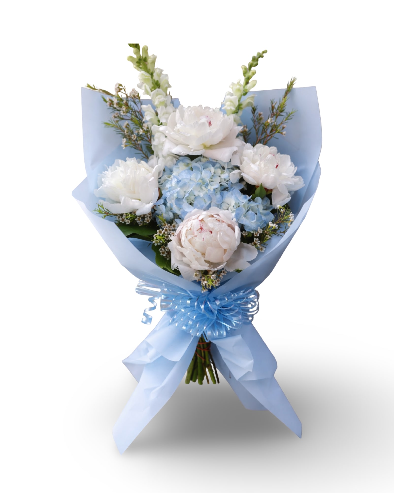 Columbia Blue Whisper Bouquet - A soft and elegant hand-wrapped bouquet inspired by Columbia University, featuring delicate white peonies,  blue hydrangea and fresh seasonal accents, all wrapped in signature Columbia blue. This design captures the pride, beauty, and calm confidence of graduation day.  Perfect for celebrating a Columbia graduate, this bouquet feels classic yet full of life, just like the moment it represents. A beautiful way to honor their hard work and new beginning.