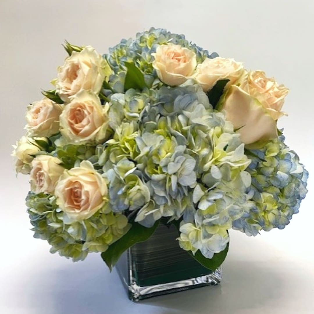 Blue Symphony - Cool and crisp - just like our mornings (wishful thinking). At least you can send a full composition of well intentions with this lovely design featuring hydrangeas and roses. Seasonal selections occur: blue &amp; white hydrangeas and cool, soft tone roses will enhance this design.  Deluxe size shown. 