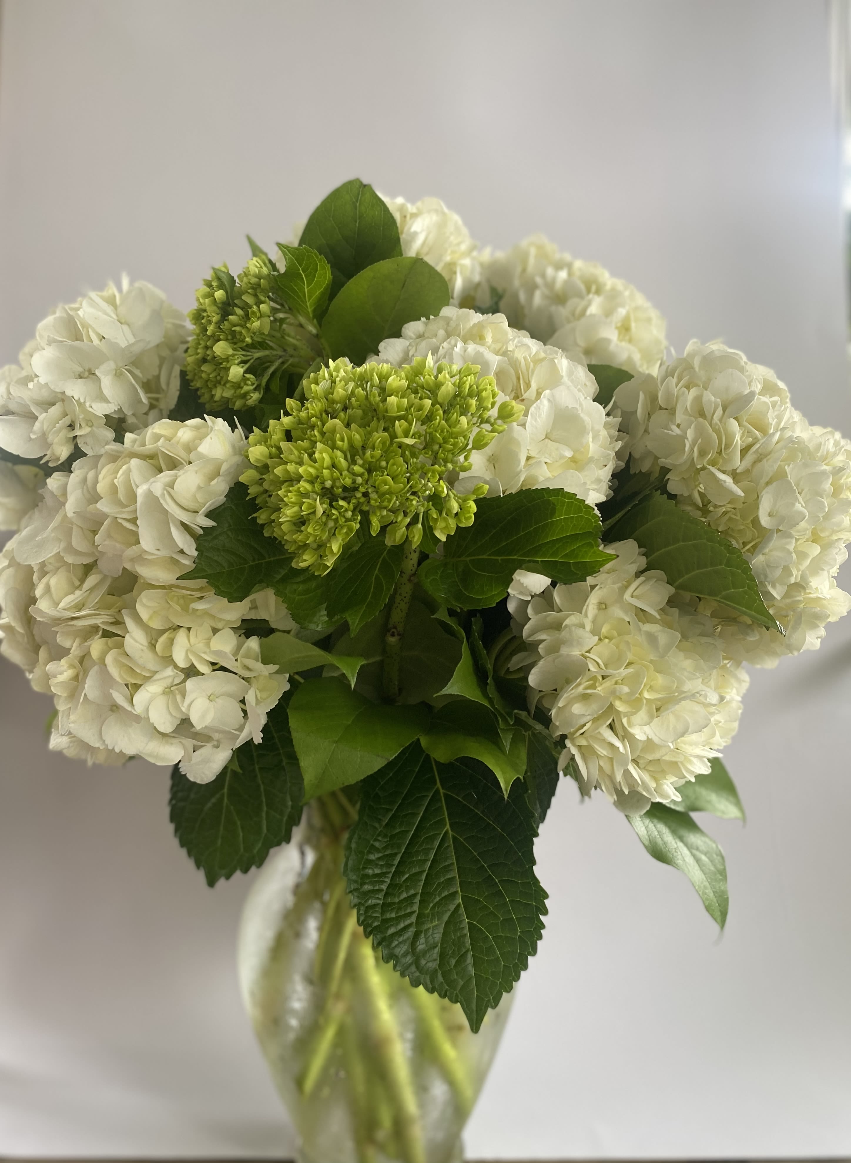 White hydrangea bouquet with green blooms in a glass vase