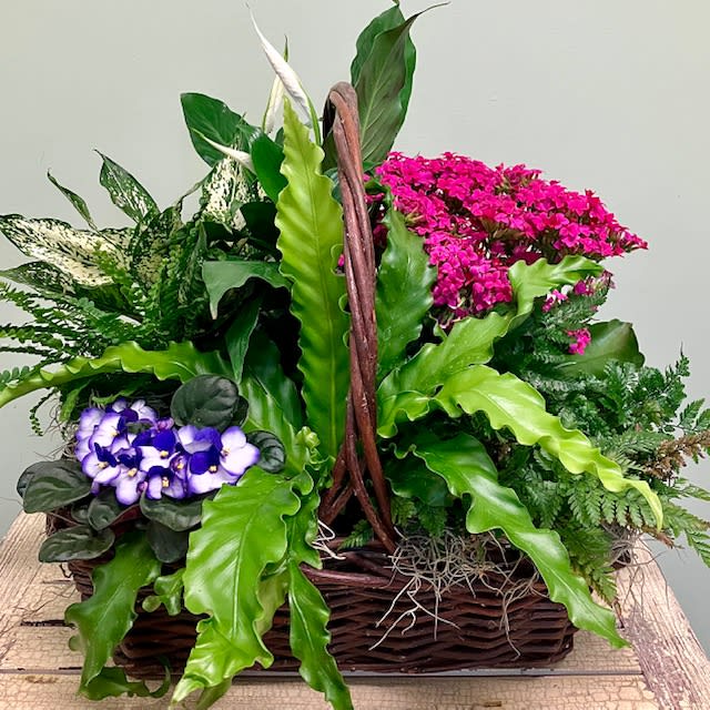 Mixed potted plants and flowers in a wicker basket