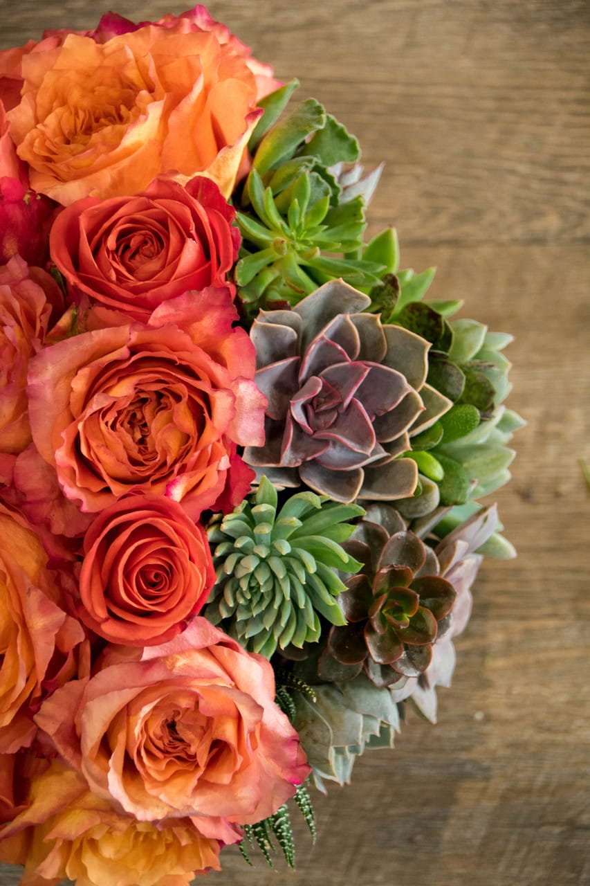 Bouquet of orange roses and mixed succulents on a wood surface