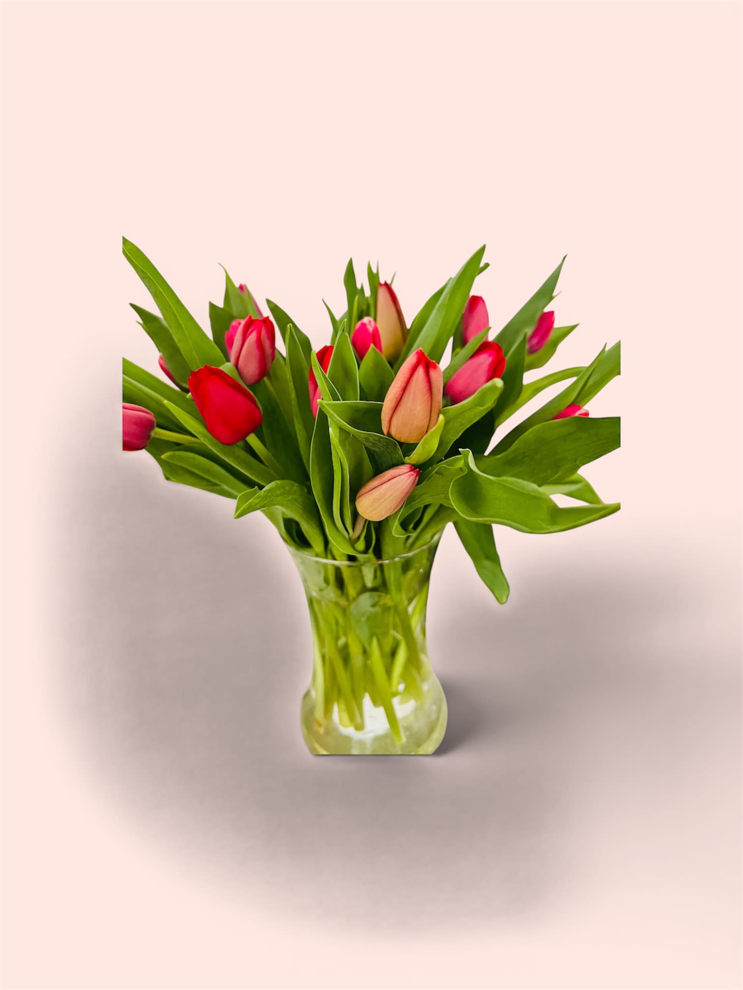 Mother’s Day Special #4 - 20 beautiful tulips! A popular favorite. 