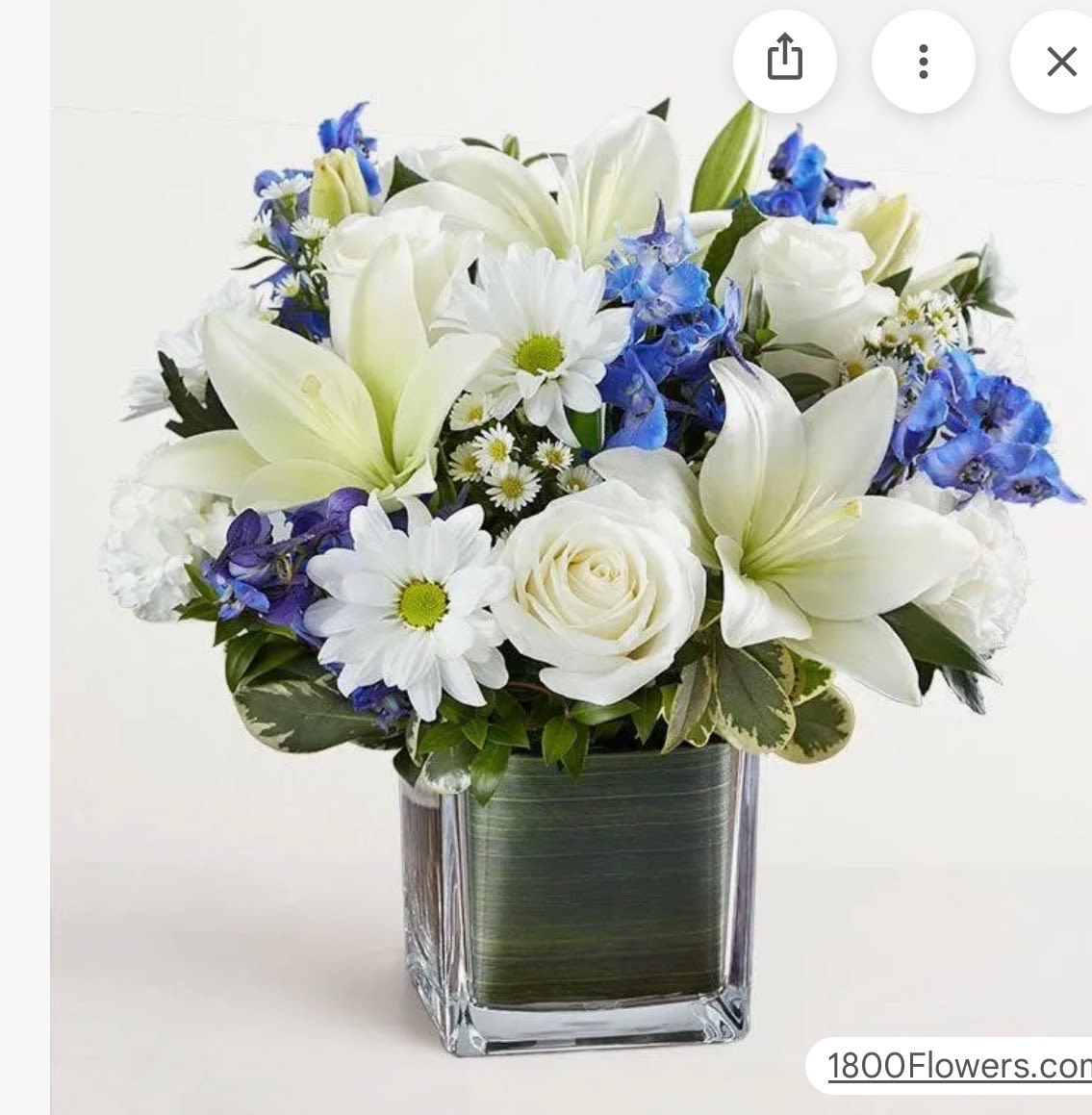 BEAUTIFUL BLUE - SMALL A delicate and charming floral arrangement featuring crisp white roses paired with graceful blue delphinium, accented by cheerful white daisies. The soft, velvety petals of the roses create a timeless elegance, while the tall, airy delphinium adds height and a gentle pop of cool blue. Nestled throughout, the daisies bring a fresh, natural touch with their bright centers and simple beauty. Together, these blooms create a serene and uplifting display—perfect for conveying peace, admiration, and a sense of calm sophistication.
