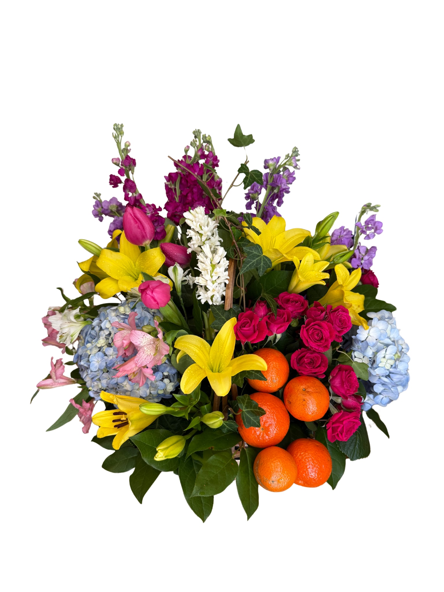Citrus Floral for Mom - A lively, colorful floral arrangement that pairs bright yellow lilies with hot pink roses and purple stock to create an exuberant bouquet perfect for a birthday, congratulations, or a thoughtful Mother's Day gift. The citrus accent-several whole oranges nestled among the blooms-gives the design a playful, sunlit twist that makes the recipient feel celebrated and seen. This is the kind of arrangement that reads as joyful and abundant the moment she walks into the room.  Pale blue hydrangeas and mixed-color tulips and alstroemeria add soft volume and varied texture, while sprays of lavender-hued stock and delicate lilies bring fragrance and height. The composition is rounded and dense, designed to feel lush from every angle; the fruit tucked in at the base adds visual contrast and a fresh, unexpected element. Ideal for moms, friends, or anyone who delights in bold color, this bouquet arrives ready to display and brighten any space.