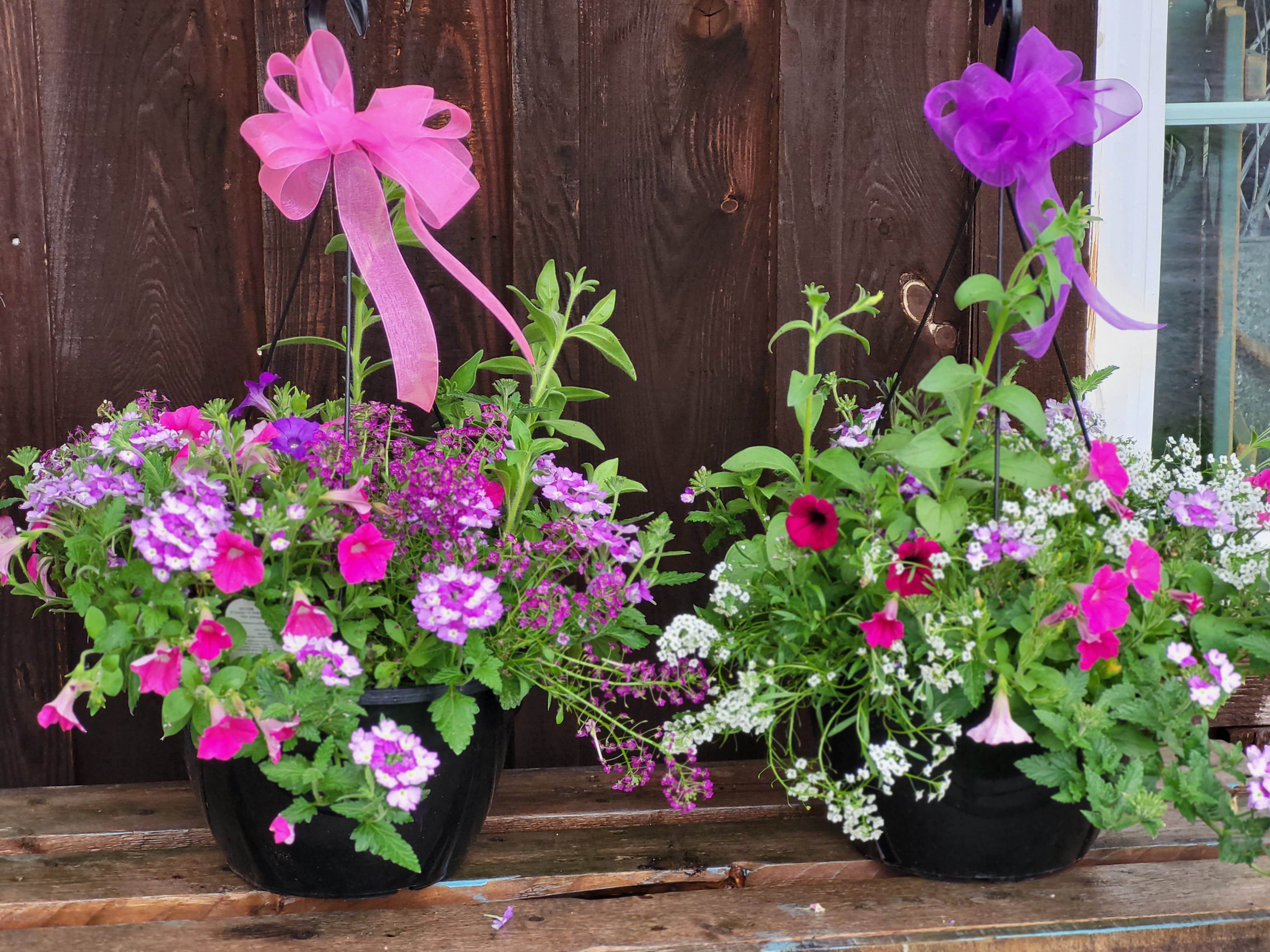Two potted flower arrangements with pink and purple blooms and ribbon bows