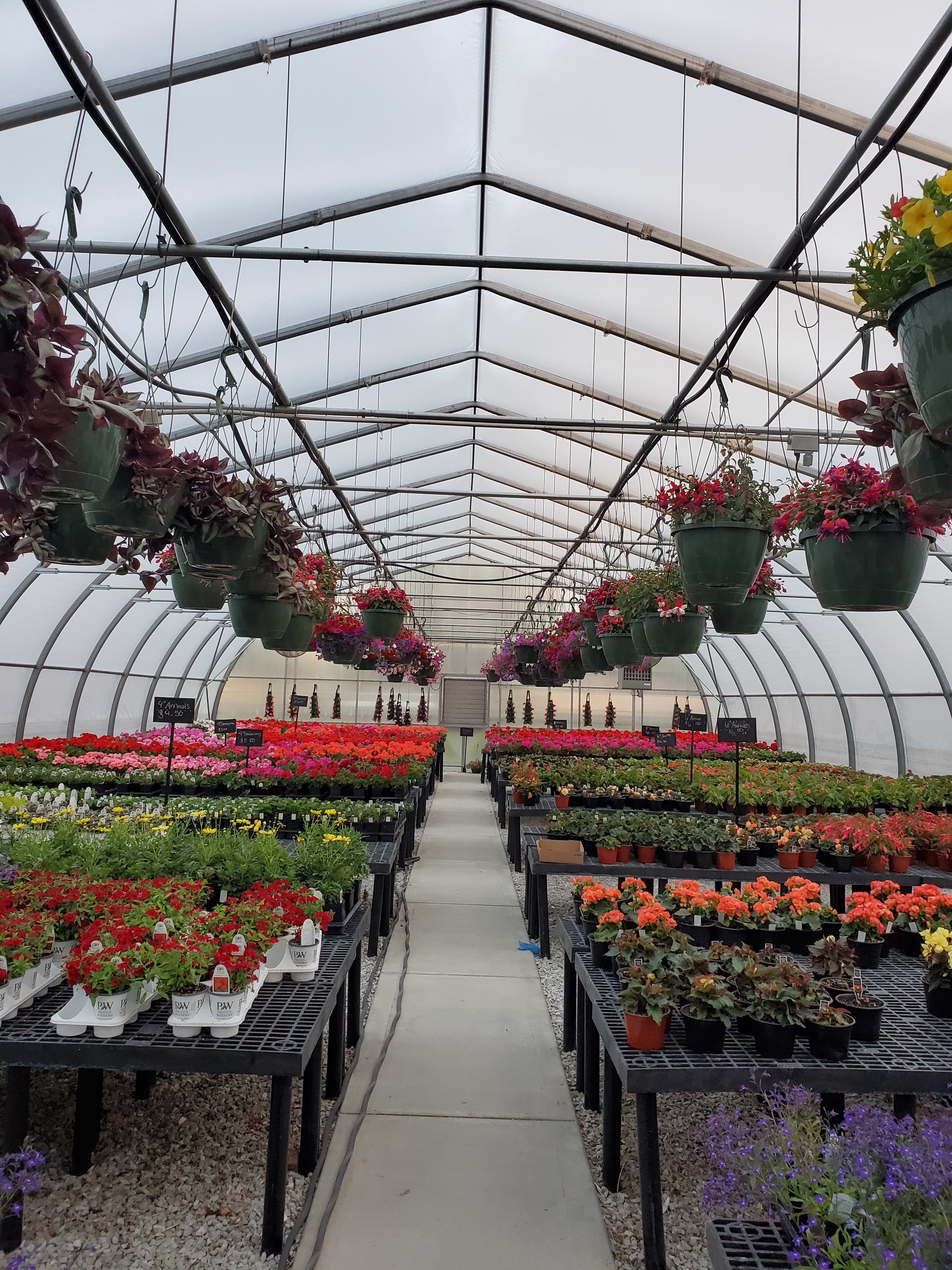 12" Lush Hanging Baskets - Baskets are filled with a variety of blooming annuals that are sure to add color to your porch or patio throughout the the summer months!