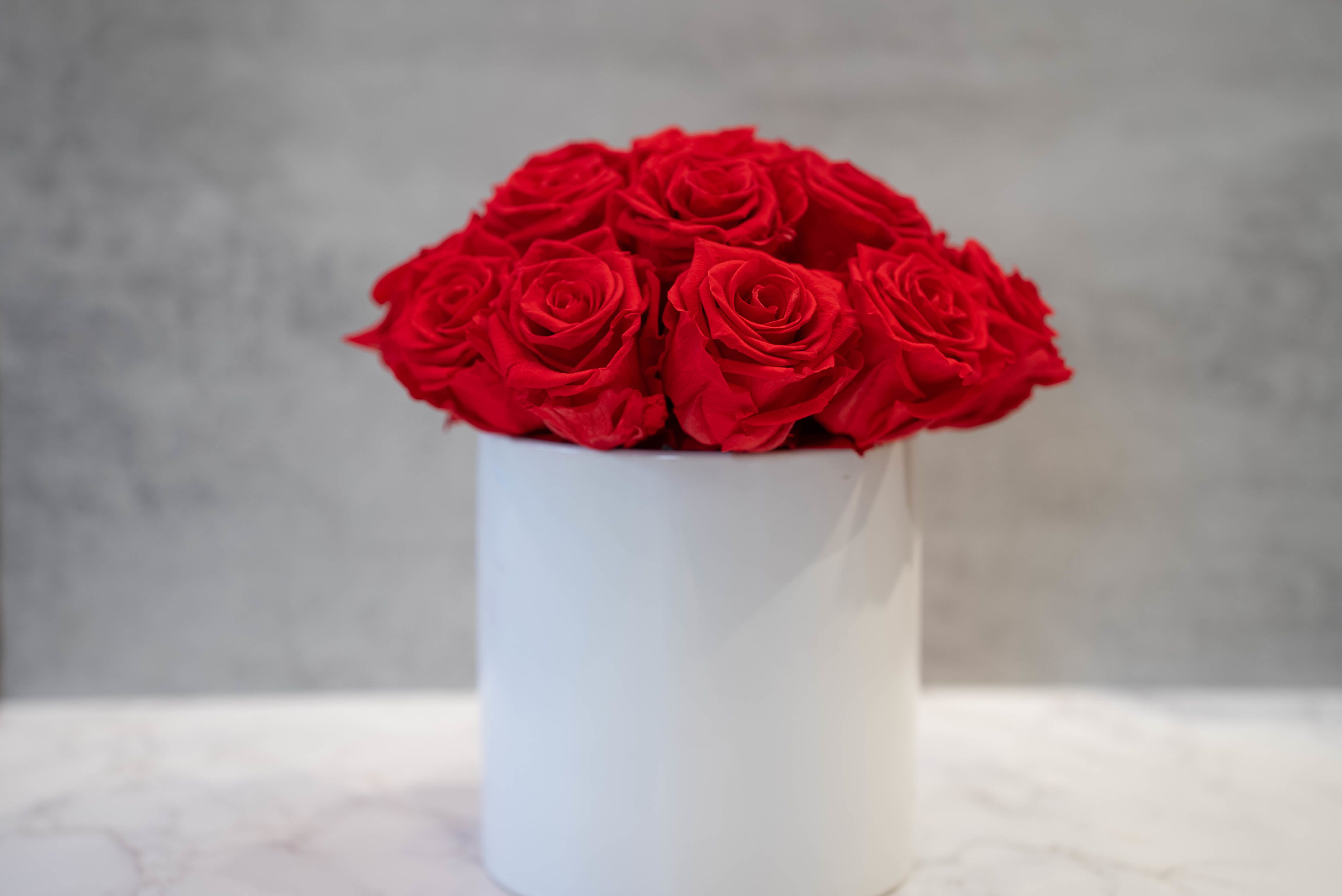 Red Preserved Roses in white cylinder  - High end preserved roses, custom designed by hand in our local shop