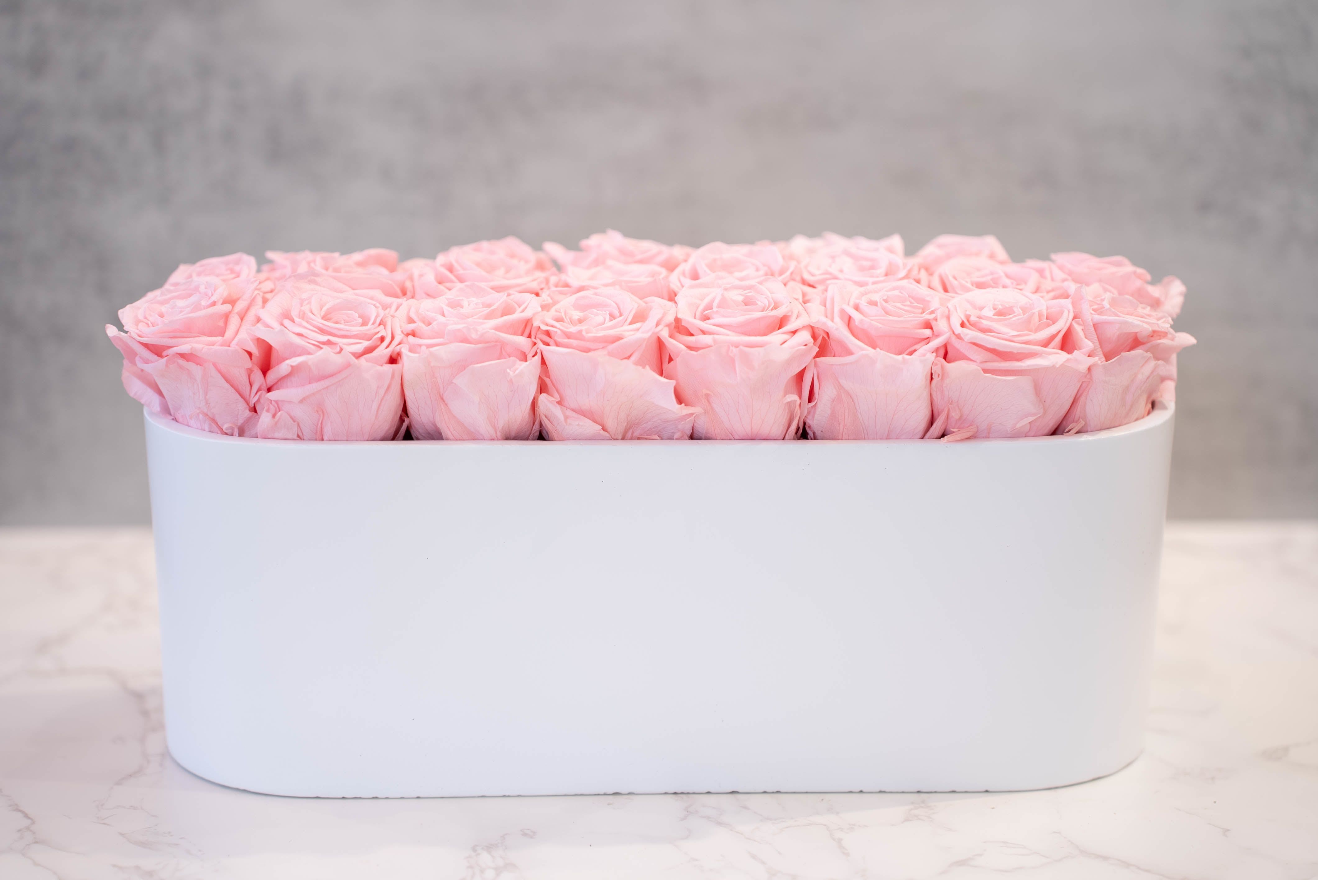 Pink Roses in Oval White Container - High end preserved roses, custom designed by hand in our local shop