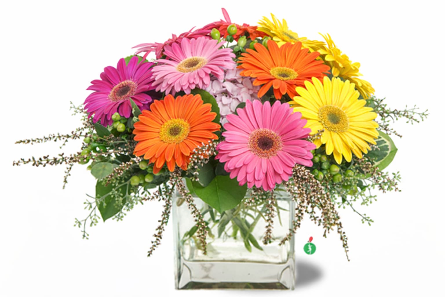 Gerbera Glory - Add a bit of pop art prettiness to any room – send a bright bouquet of colorful gerberas.. This bouquet is both fun and fabulous, and can also work as a wedding shower centerpiece. Due to the current situation, supply is limited, therefore, color and variety substitutions may be necessary, please specify if you have a preferred color and we will do our best to accommodate your request.