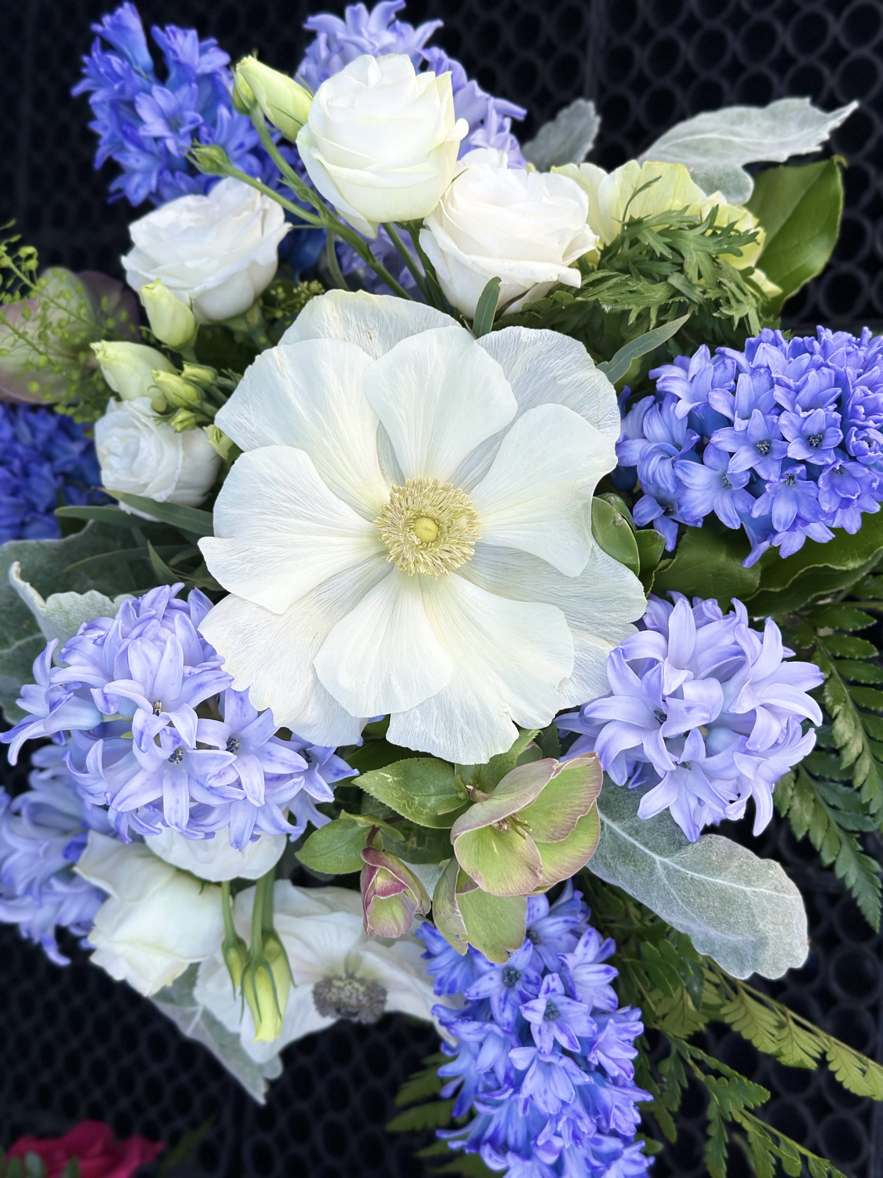 Cure For the Blues - The breathtaking flowers in this Leary's Flowers exclusive arrangement are sure to lift anyone's spirits. The rich blue hyacinths, crisp white anemones and lisianthus, and striking Lenten Rose (Helleborus), are some of the most expensive flowers around, but the effect is stunning.  If the featured flowers are unavailable we will design your arrangement using the freshest blooms of equal or greater value