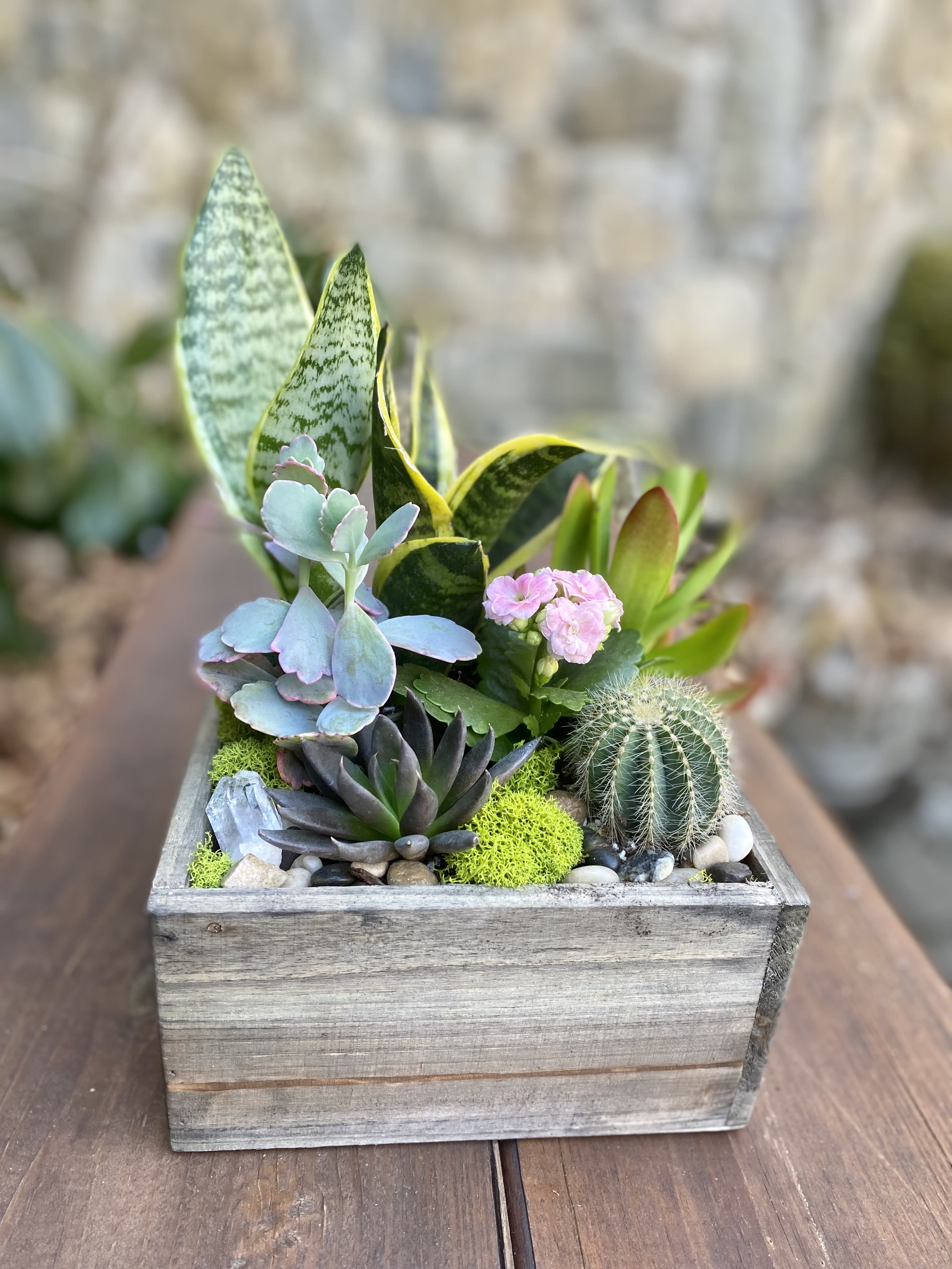 Mixed succulents and cactus in a rustic wooden box planter with pebbles