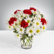 Daisy Crazy by BloomNation™ - A modest gift that will make a lasting impression. Daisy Crazy by BloomNation™ is the perfect gift for a birthday or just to show you care.   Arrangement Details: Includes white chrysanthemum spray daisies, red carnations, and assorted greenery. APPROXIMATE DIMENSIONS: 12" H X 12" W