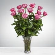 Dozen Lavender Roses - This arrangement is the perfect "pick me up" to brighten someone's day. Dozen Lavender Roses is the perfect gift for a birthday, get well, just because, and thank you.    Arrangement Details: 12 Long Stemmed Lavender Roses and Assorted Greenery APPROXIMATE DIMENSIONS: 25" H X 18" W