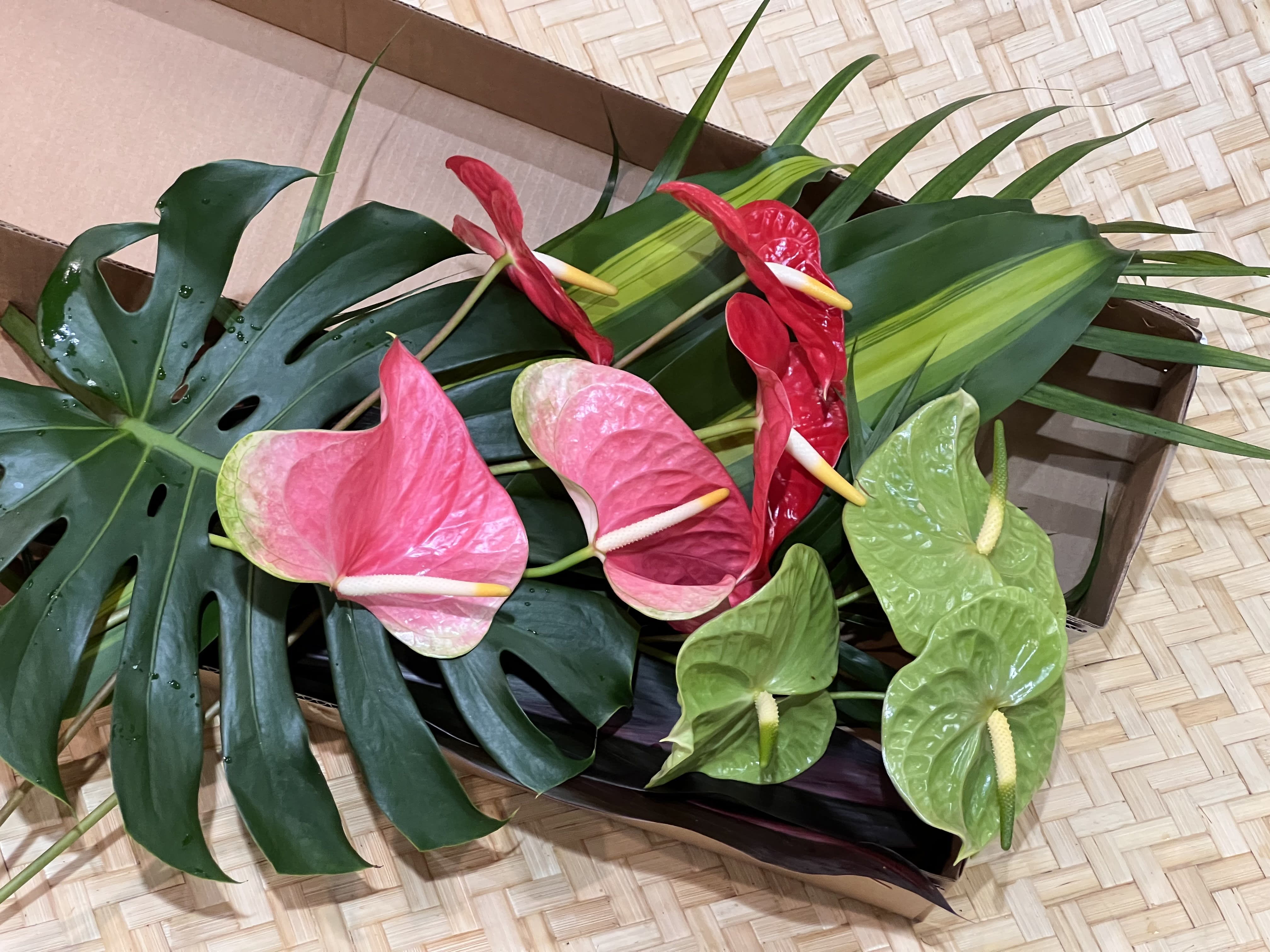 Loose pink, red, and green anthurium stems with large tropical leaves in a shallow cardboard box.