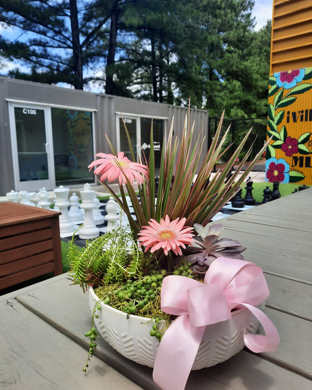 Succulent arrangement with pink daisies in a white bowl and pink ribbon