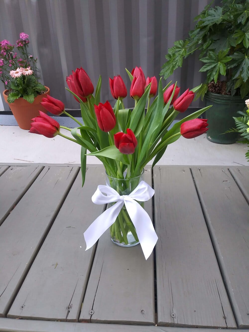 Red tulips in a clear glass vase tied with a white ribbon
