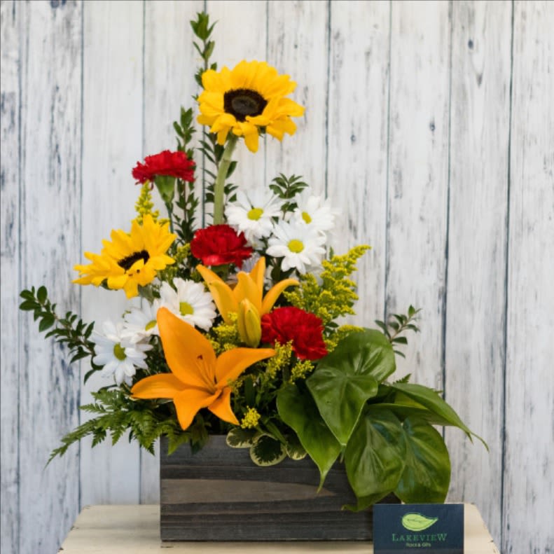 Dual - 4" philodendron plant and a beautiful fresh arrangement combination in a wood box. Arrangement contains sunflowers, carnations, white daisy, and orange Asiatic Lily. 