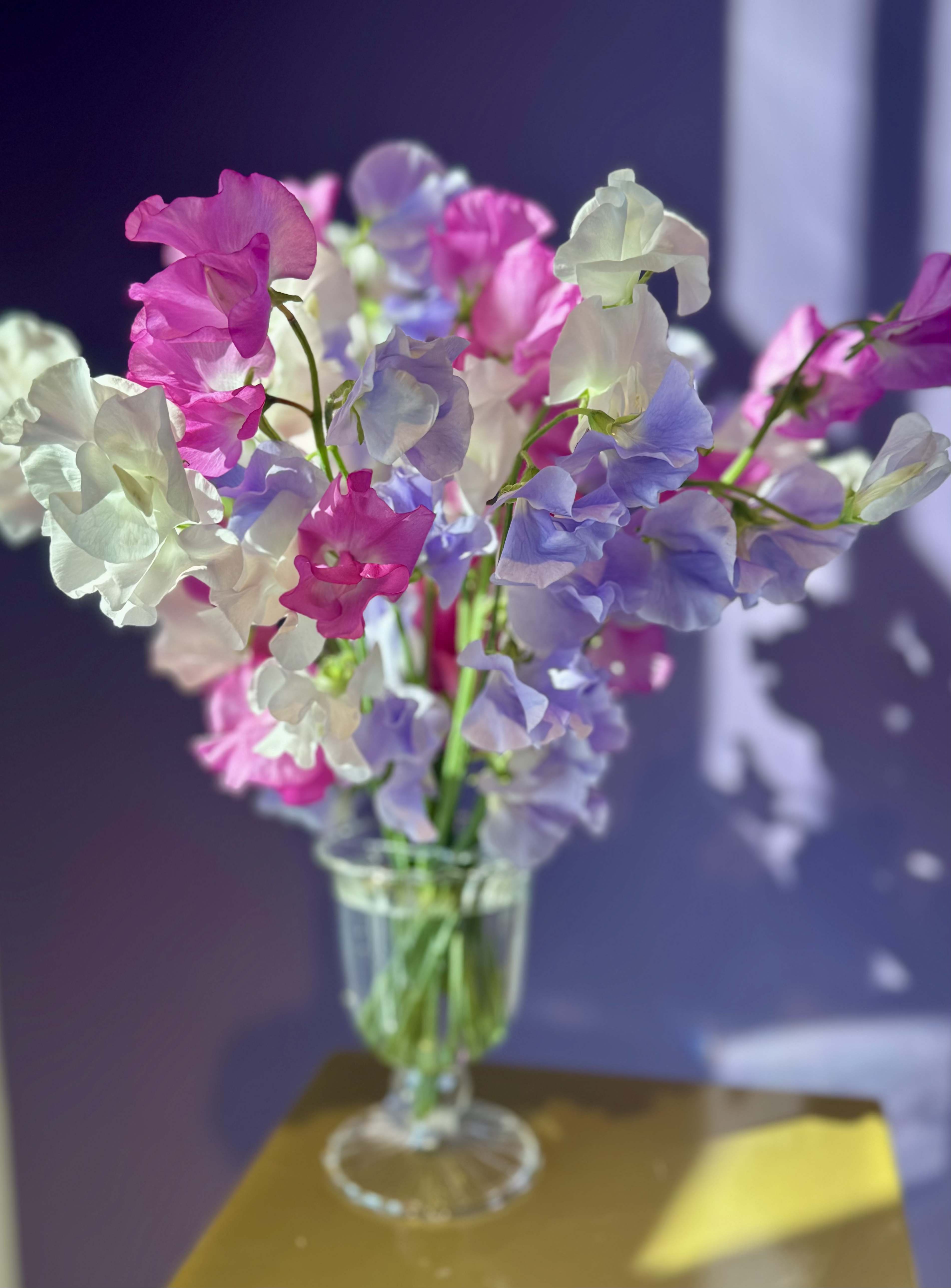 Sweet Sweet Pea!  - Sweet peas are SO sweet!!!  And they smell so good!!  Ours are so ruffly &amp; dreamy!  Perfect for any mom or special occassion.    Standard=25 stems vased  Deluxe- 35 stems vased  Premium= 50 stems vased  Sweet peas are about 12=16" in length and have a thin stem. Vase size is roughly 9"H x 5"W give or take pending size ordered.  