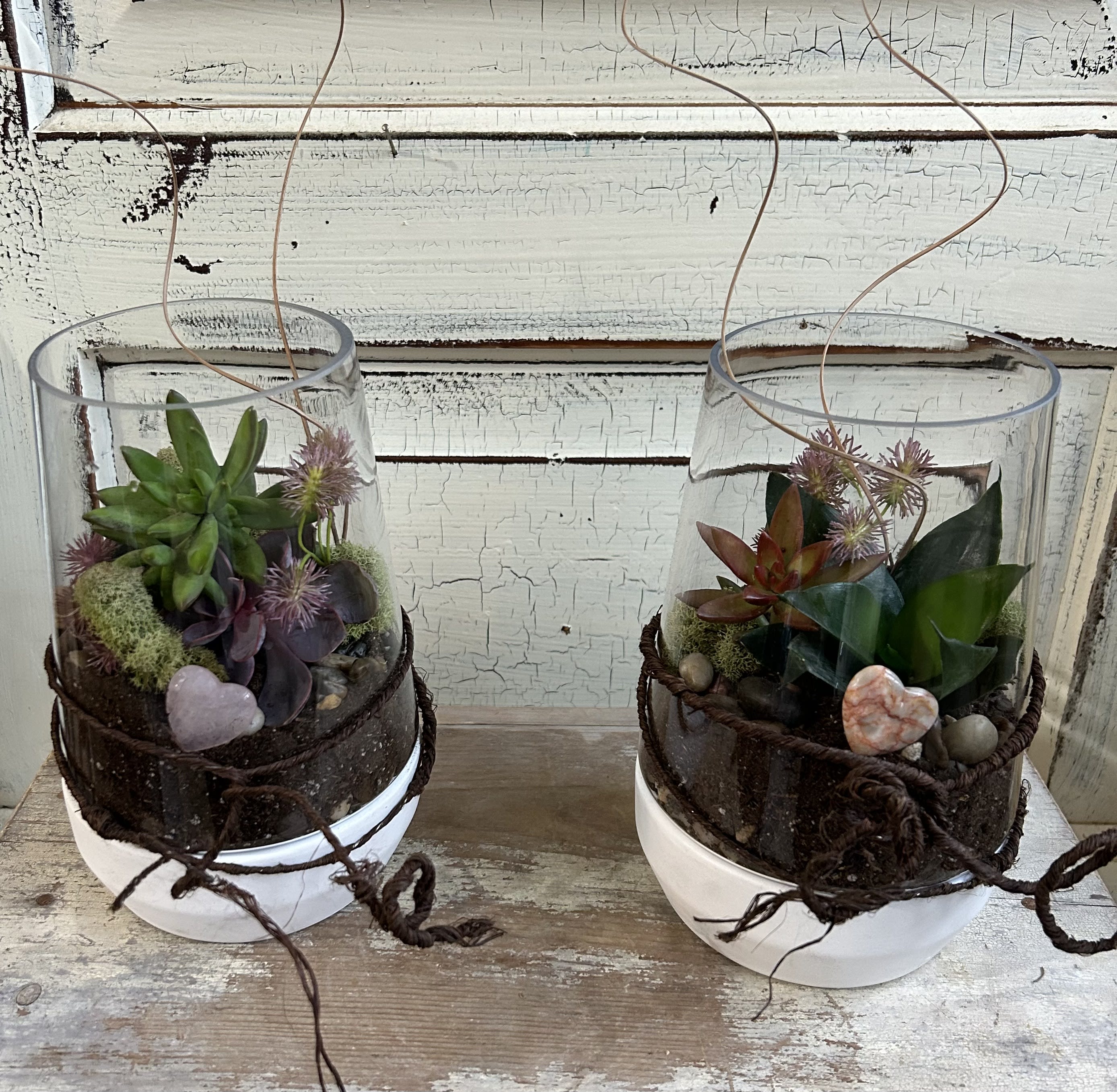 Two succulent terrariums in clear glass containers with twine accents
