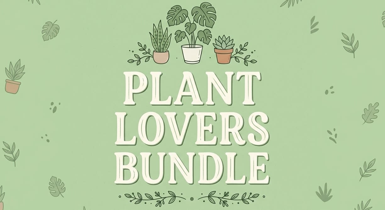 Plant Lovers Bundle (Exotic Plant, Macarons, Candle) - Includes a 4" potted Exotic Plant, a box of assorted Macarons, and one of our signature tin candles. 