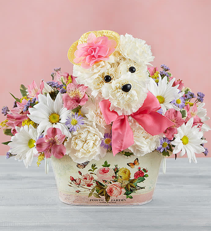 PRECIOUS PUP - Crafted from fresh white carnations and a mix of colorful blooms, our truly original canine comes complete with eyes, nose and a charming straw garden hat. Best of all, it’s nestled in our exclusive keepsake planter, a lively cachepot featuring a vintage-inspired butterfly and rose design.