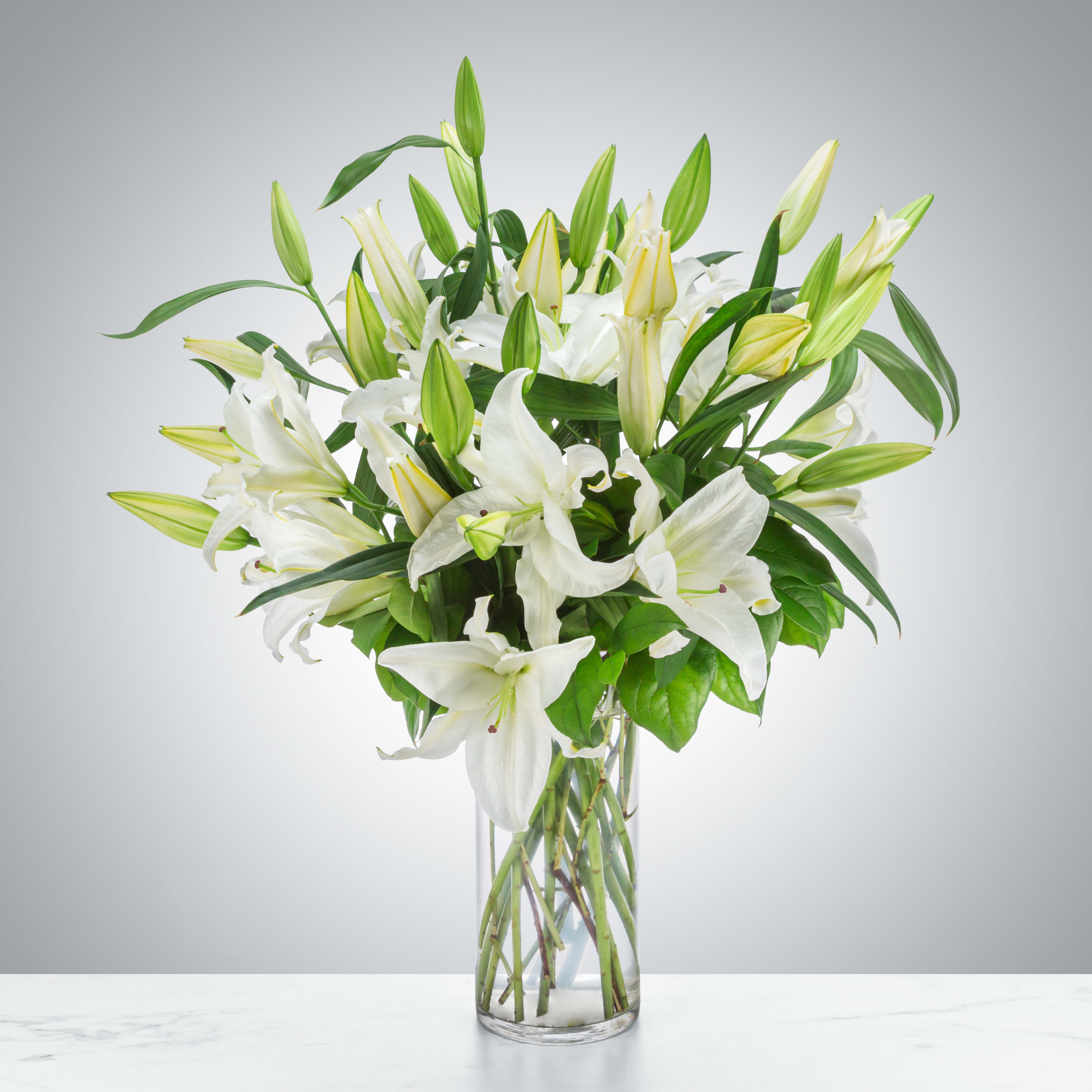 Peaceful Evening by BloomNation™ - White lilies stand tall and beautiful. Send an impactful gift to somebody whether it be for saying I am sorry or celebrating the new year. This arrangement instantly elevates any room and fills the space with that distinct sweet-smelling lily perfume.  1st Image: Standard 2nd Image: Premium