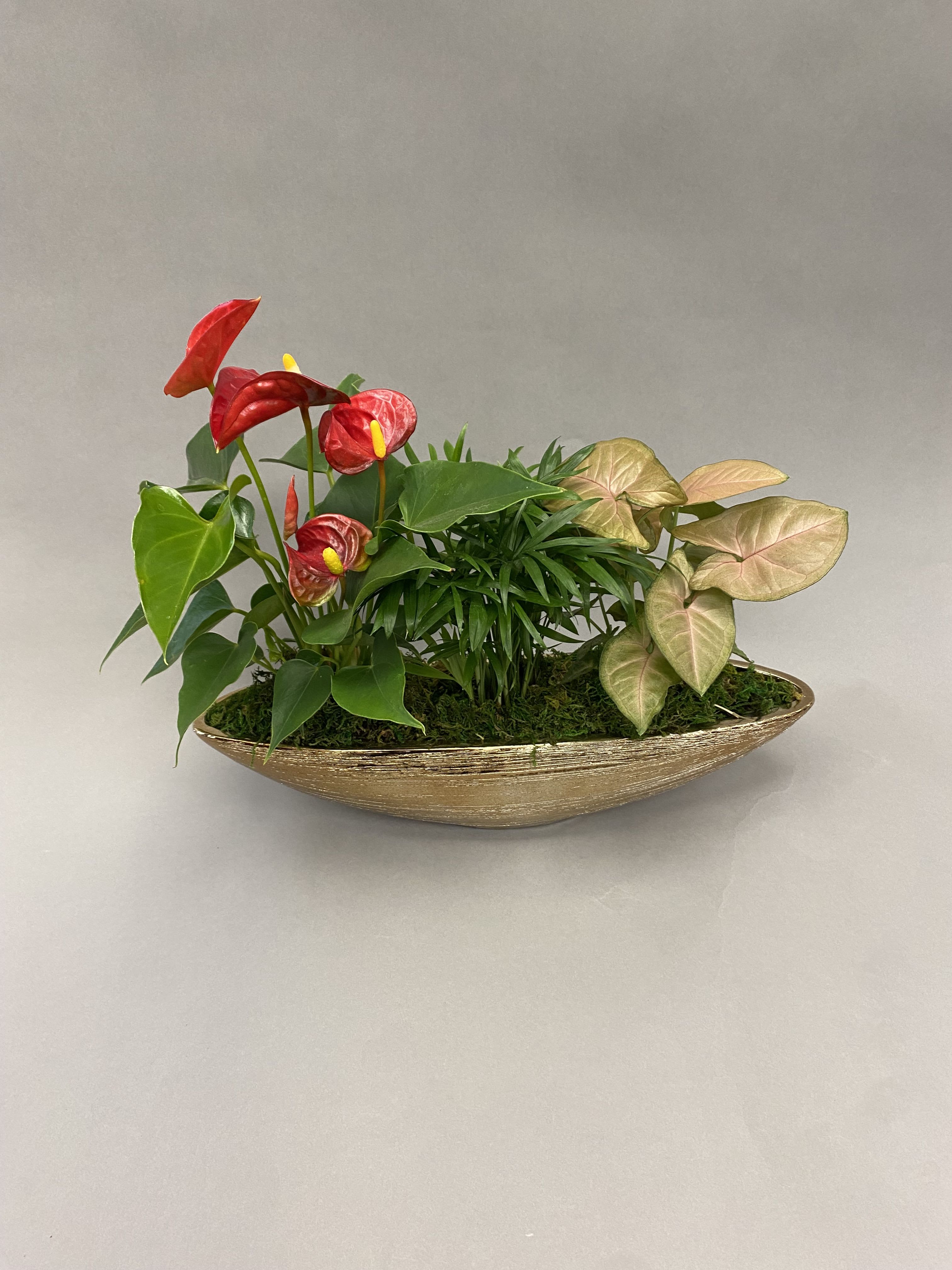 Tropical plant arrangement with red anthuriums in a gold boat-shaped planter