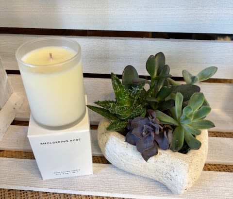 Zen Garden - Relax and enjoy an easy to care for succulent garden in a heart shaped ceramic container paired with a fragrant rose scented candle.