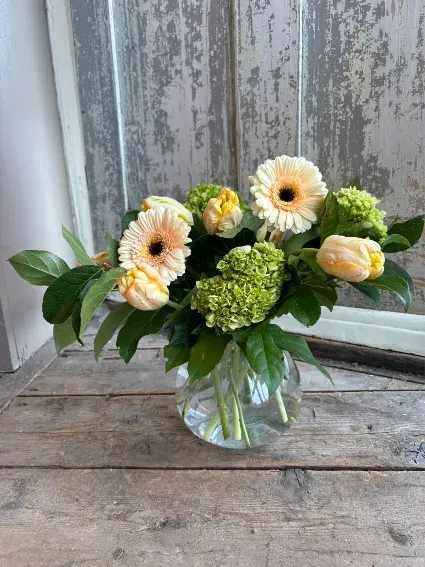 Peachy Spring - A sophisticated arrangement of soft colored blooms. Peach Gerber daisies, green hydrangeas, and parrot tulips. Presented in a bulbous glass vase  Includes: Peach Gerber Daisies, Green Hydrangeas, Parrot Tulips.