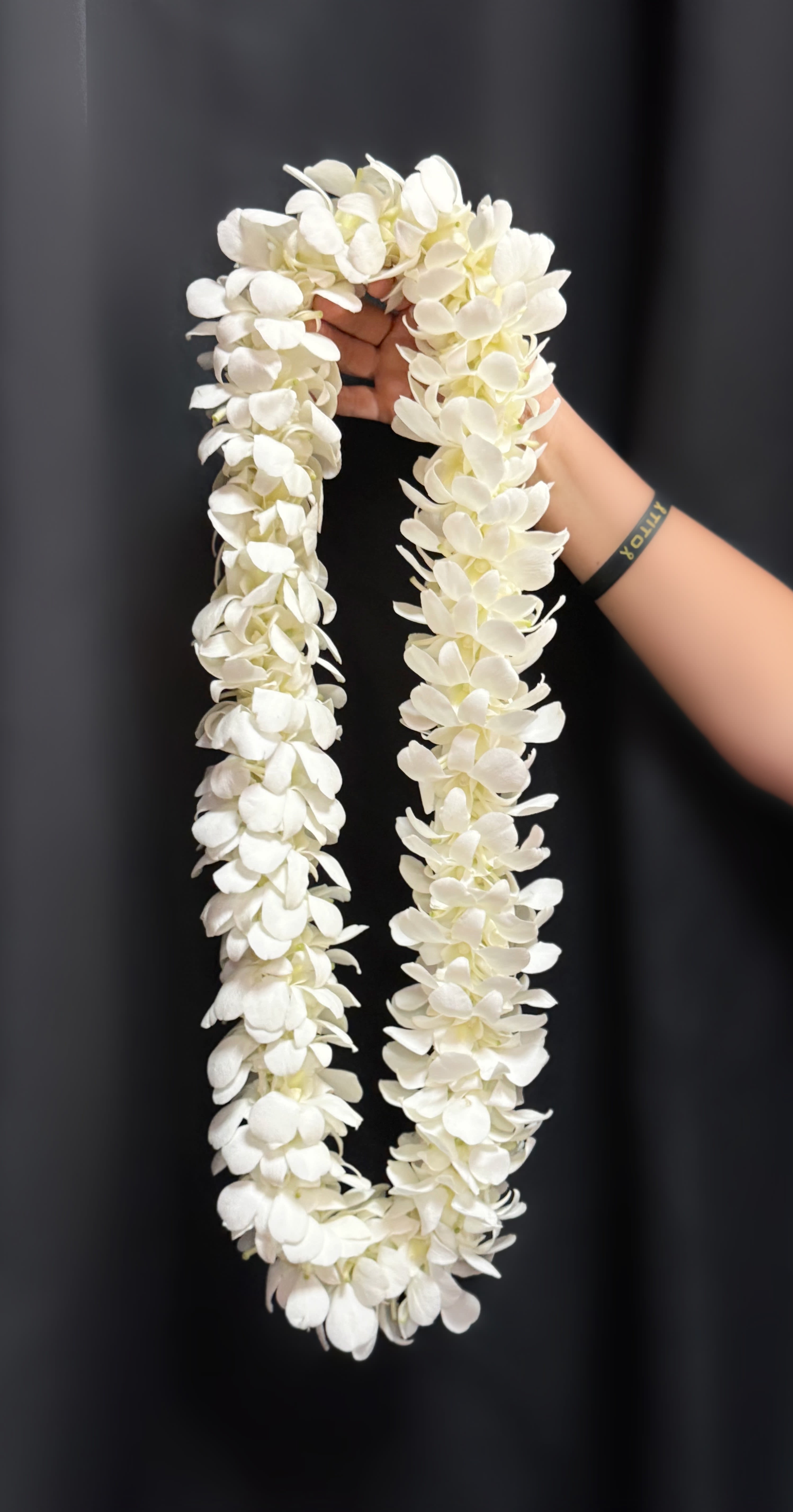WHITE ORCHID LEI  - WHITE ORCHID LEI
