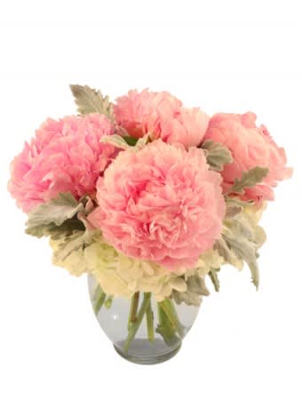 Sweet as Pie Bouquet  - The glorious Sarah Bernhardt Peonies have returned for the season! This beautiful blush pink blooms go so well with the white hydrangeas that it creates a sweet atmosphere in any room. Similar to a pie fresh out of the oven! 