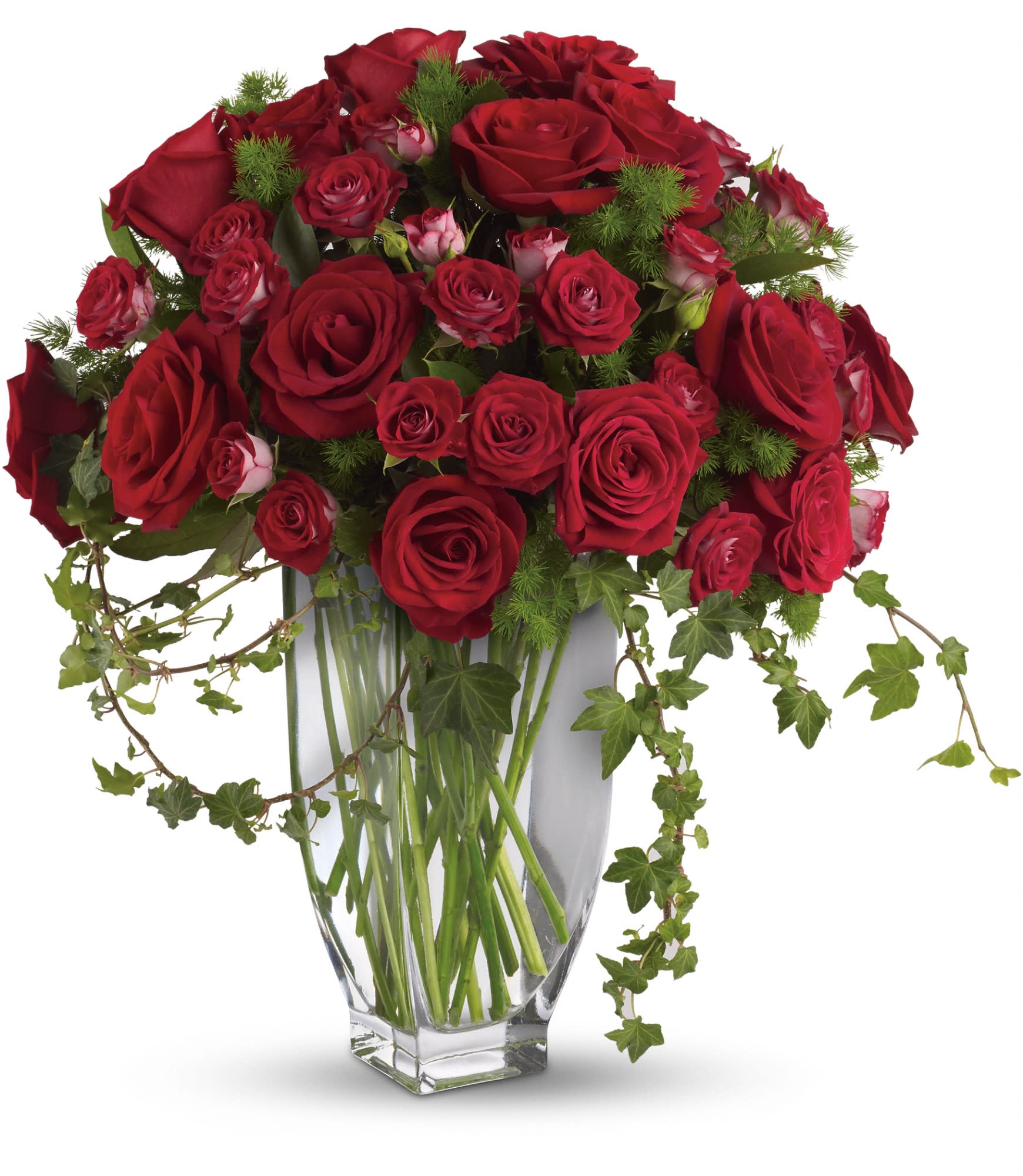 Red roses arranged in a clear glass vase with trailing ivy