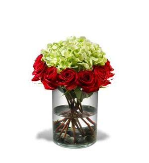 Red roses and pale green hydrangeas in a clear glass vase