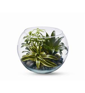 Glass bowl terrarium with assorted green houseplants and pebbles
