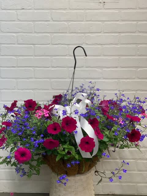 Annual Hanging Basket SUN  - Sun Loving hanging basket. Our greenhouse offers a large selection of gorgeous hanging baskets. Our designers will choose a beautiful mix for your order.Exact flowers/colors will vary by availability. 
