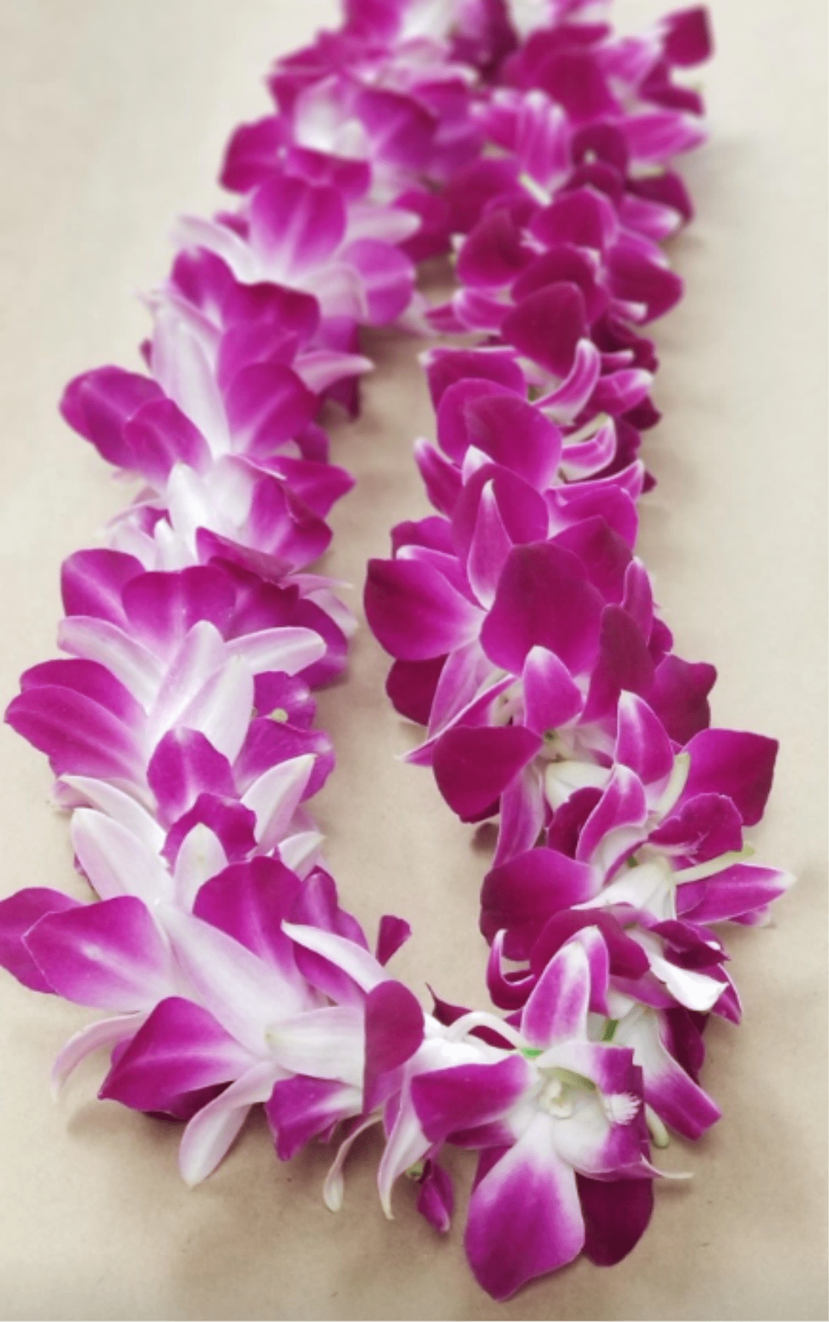 Single Orchid Lei - Single Orchid Lei