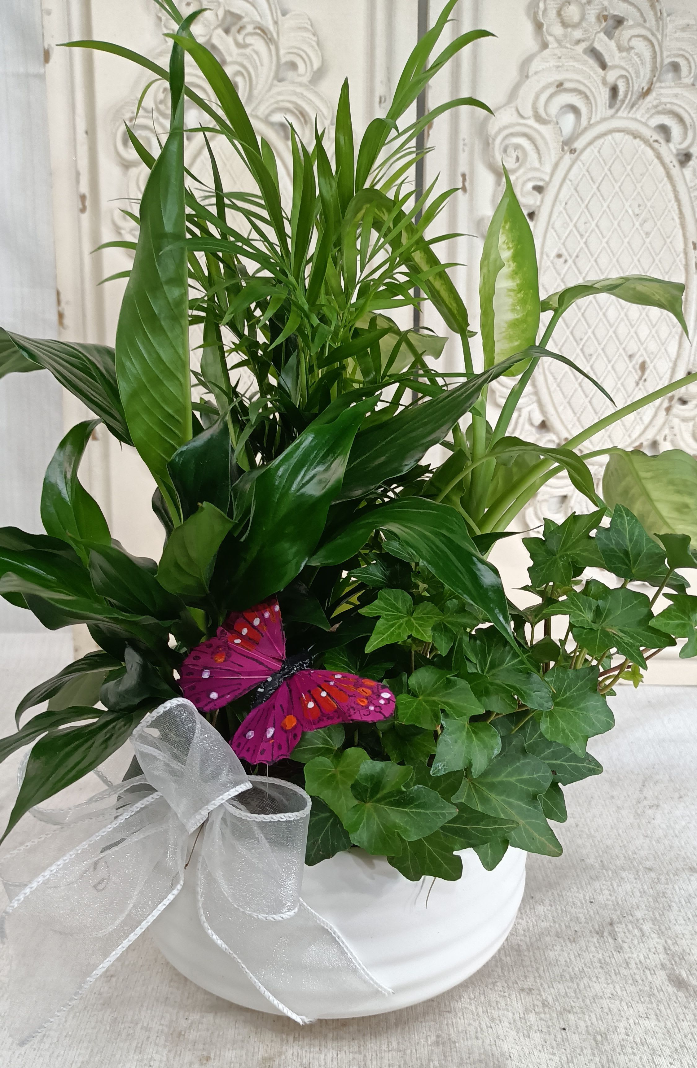 Potted green houseplant arrangement with a white bow and purple butterfly decoration