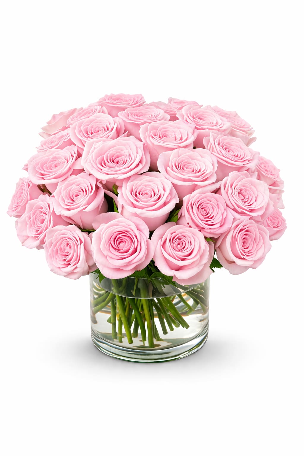 Luxury Mother’s Day Bouquet - A timeless expression of elegance and love, this stunning arrangement features 36 premium light pink roses beautifully designed in a clear glass vase. Soft, romantic, and perfectly balanced, this full bouquet creates a luxurious presentation ideal for meaningful celebrations.  Carefully arranged by Studio K Floral Boutique, each rose is selected for freshness, fullness, and color harmony — creating a refined design that feels both classic and elevated.  Better for: Mother’s Day, birthday, thank you, new baby, get well, or simply to show love and appreciation.  Perfect for gifting, this arrangement delivers a soft and sophisticated statement that makes any moment feel special.  Delivery Note: Bouquet will be delivered approximately as shown. Substitutions may occur based on seasonal availability while maintaining the overall style and color palette.