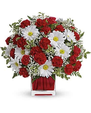 Red carnations and white daisies in a clear square vase