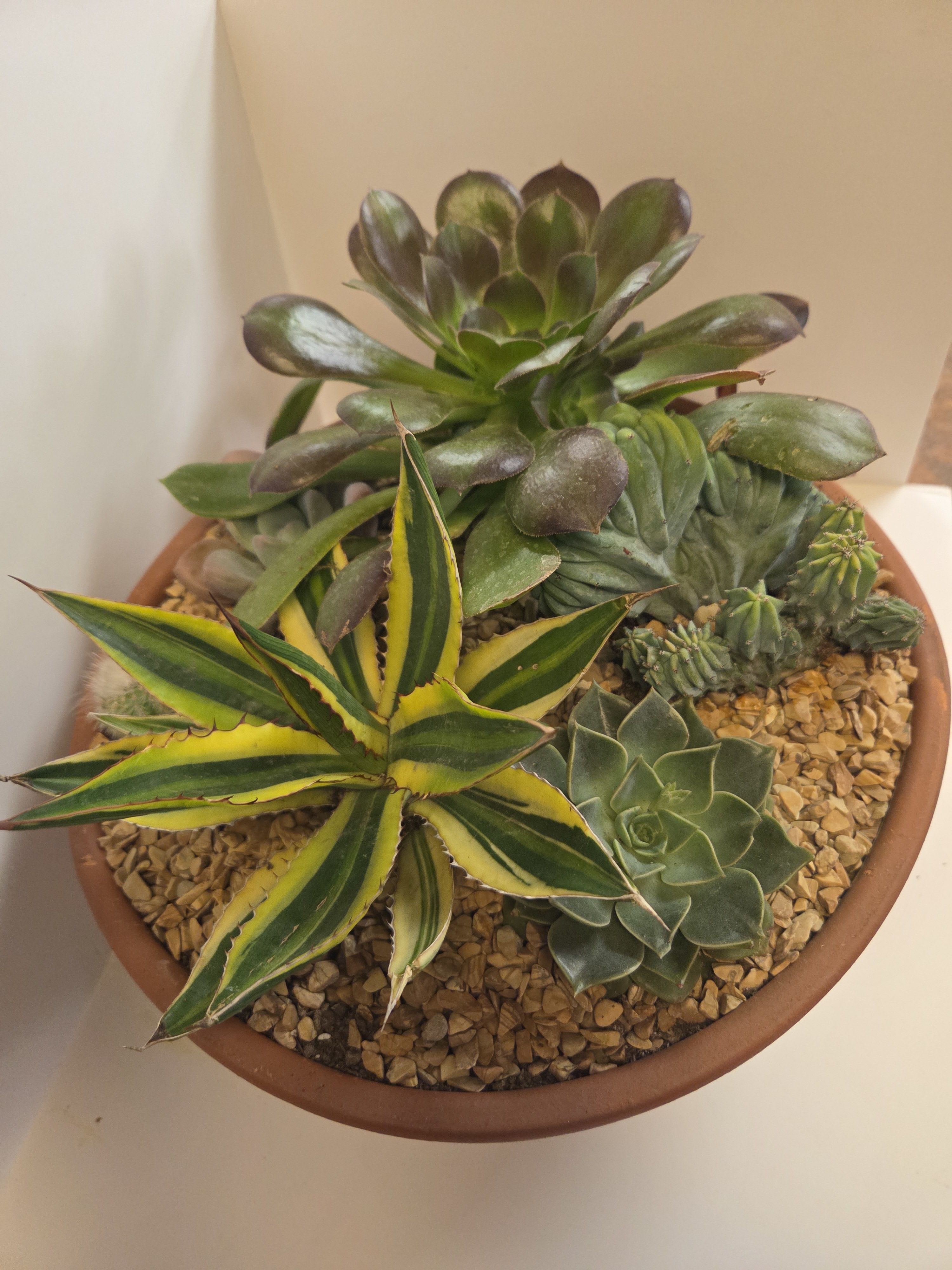 NEIGHBORLY - This arrangement can easily be made larger.