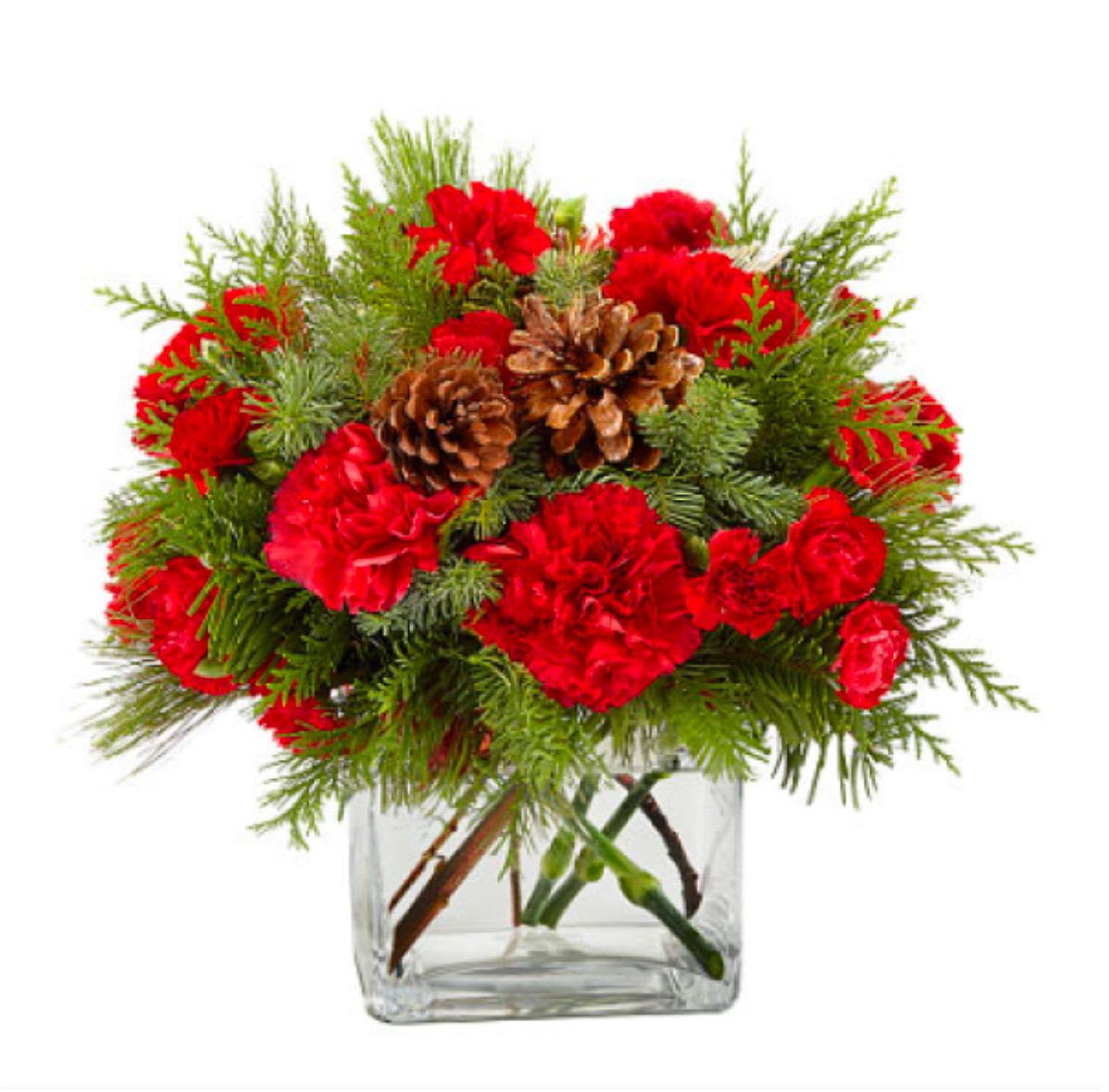 Holiday Cabin - Capture the cozy essence of the season with "Holiday Cabin." This rustic holiday arrangement features vibrant red carnations nestled among lush evergreen branches, creating the perfect blend of festive charm and natural beauty. Accented by rustic pinecones, this arrangement evokes the peacefulness of a winter forest. Displayed in a clear glass vase, Holiday Cabin brings the warmth of the outdoors into your home, making it the perfect choice for a holiday centrepiece or a thoughtful seasonal gift. Embrace the rustic elegance and timeless beauty of winter with this delightful arrangement!