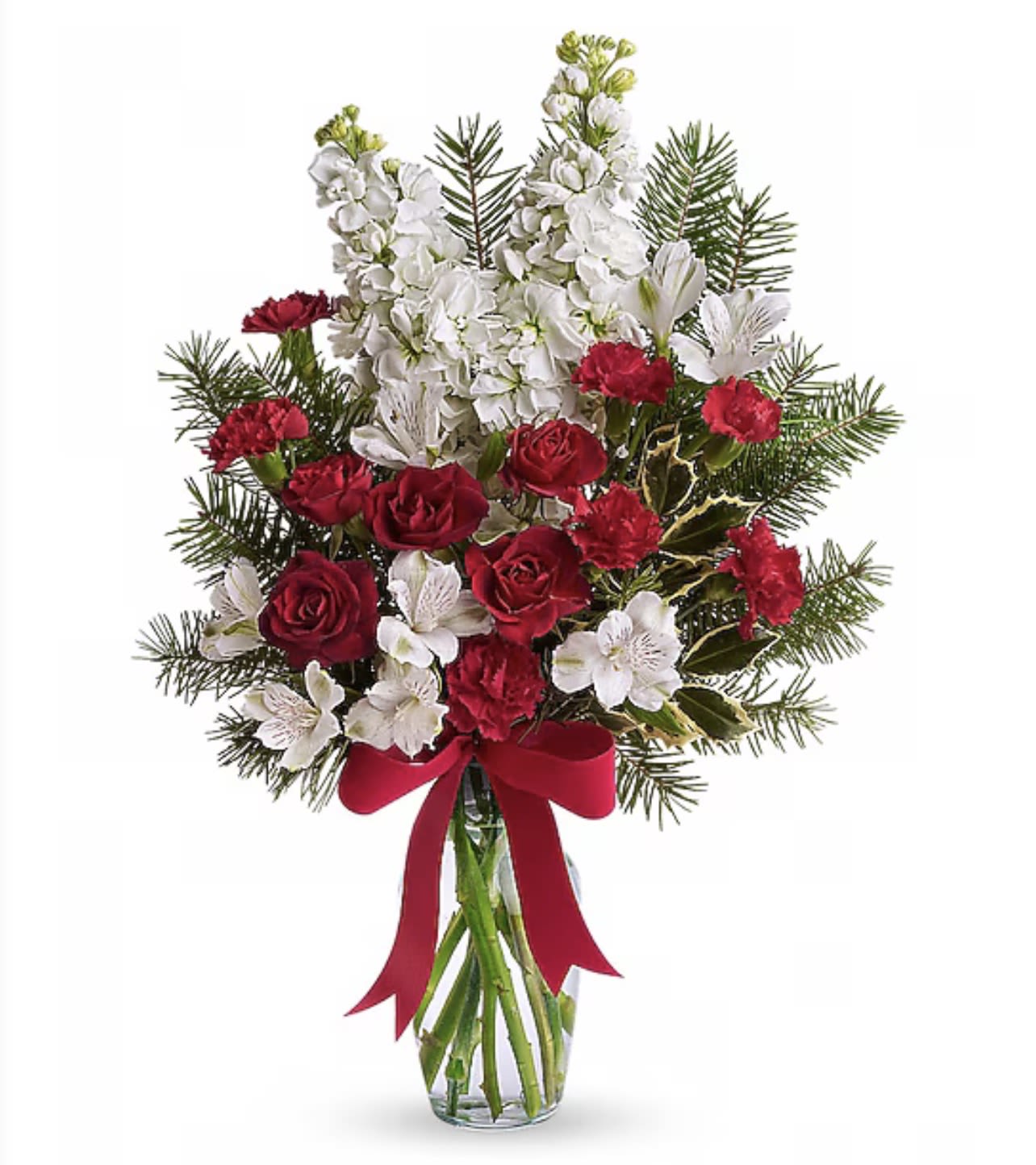 Snowflakes and Sugarplums - Perfect for holidays or everyday, this delightful array of red and white flowers accented with holly and evergreen is a beautiful bargain.  The cheerful bouquet includes red miniature carnations, white stock, variegated holly and noble fir accented with a red satin ribbon.